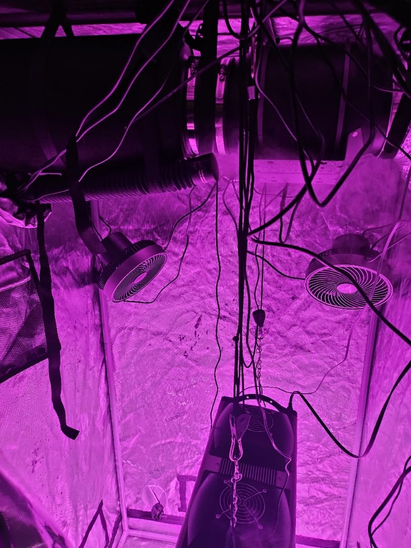 AC Infinity CLOUDFORGE T3, Plant Humidifier 4.5L with VPD Humidity Controls, 10-Level Precision Vaporizer customer photo 1