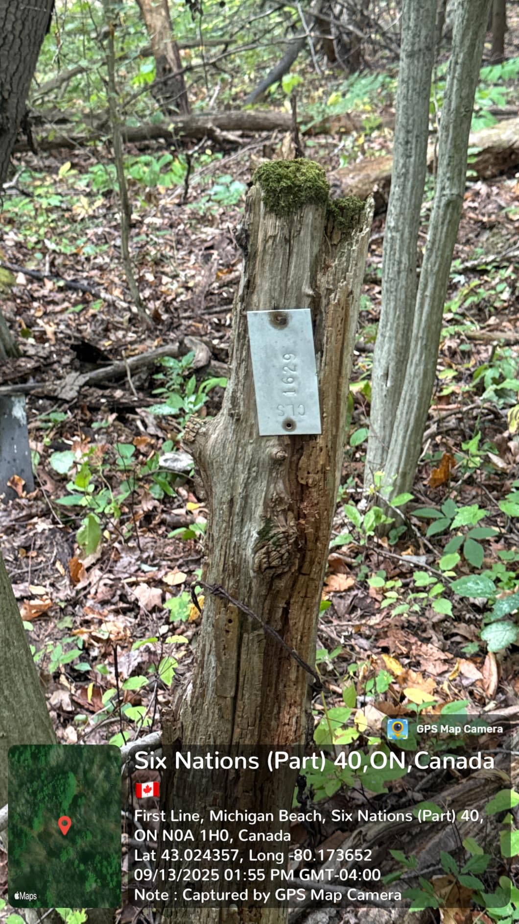 SMA26 Plus GNSS RTK Rover & Base Surveying Equipment with Controller and Software, 1cm Accuracy, NOAA Certified, IMU/PPP/UHF/NTRIP/Bluetooth, IP67 GPS for Civil Engineering and Topography customer photo 2