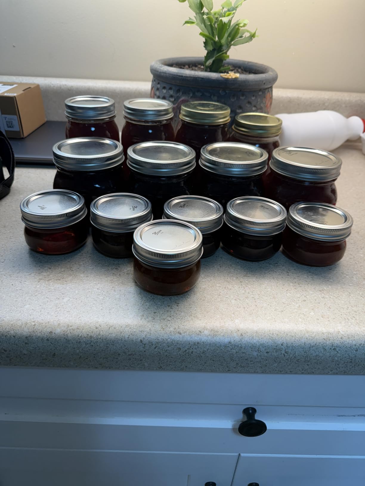 VEVOR Electric Honey Extractor, 2/4 Frame Stainless Steel Beekeeping Extraction, Honeycomb Drum Spinner with Transparent Lid, Apiary Centrifuge Equipment with Height Adjustable Stand customer photo 2