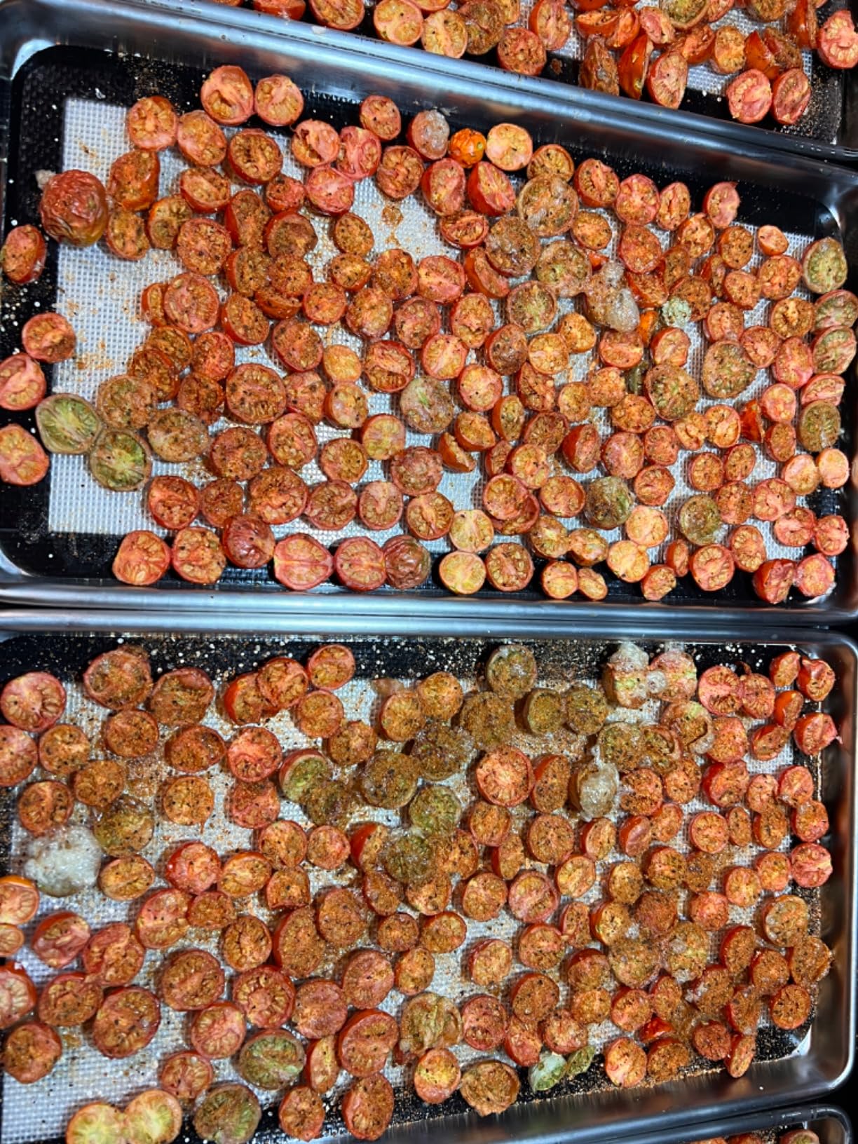 Silicone Mats For Harvest Right Freeze Dryer (M - Medium) customer photo 1