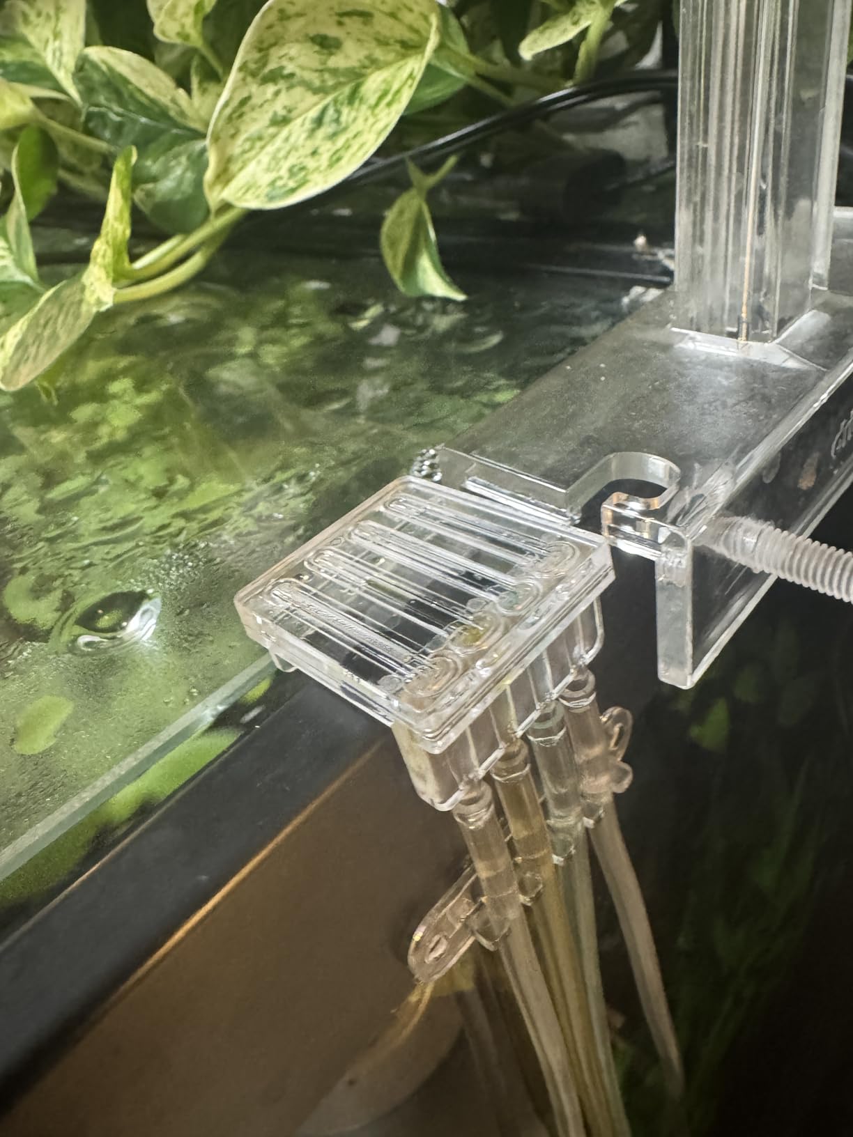 Chihiros Dosing Pump System - 4-Channel Automatic Aquarium Doser with Smart App Operation for Precision Nutrient Delivery, 4 Dosing Containers, Holder & Tubing for Reef Tank & Freshwater Setups customer photo 2