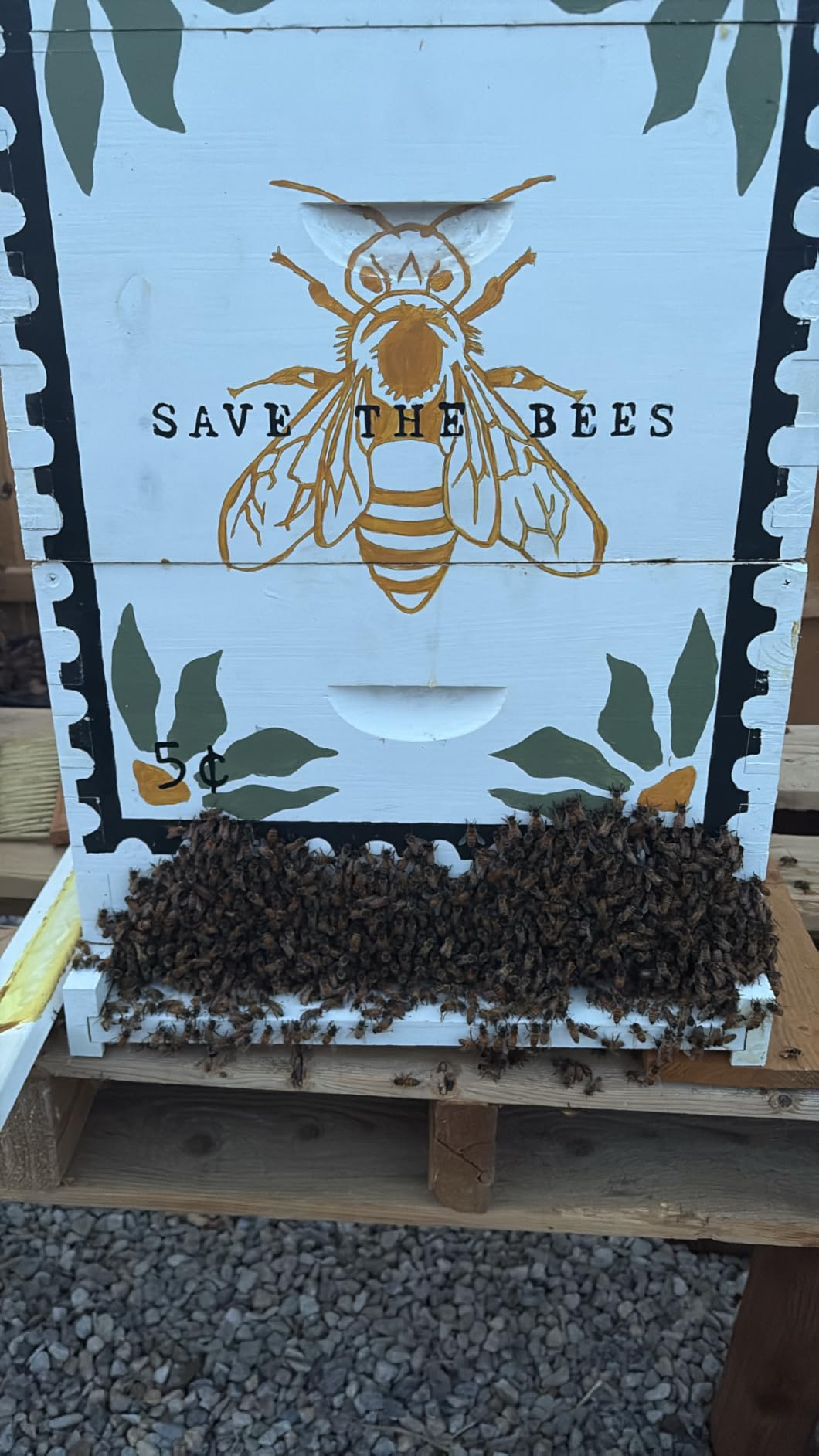 BeeCastle 10-Frame Complete Bee Hives and Supplies Starter Kit, Beehives for Beginners with Beehive Frames and Waxed Foundations (2 Deep Bee Boxes & 2 Medium Super Bee Boxes) customer photo 2