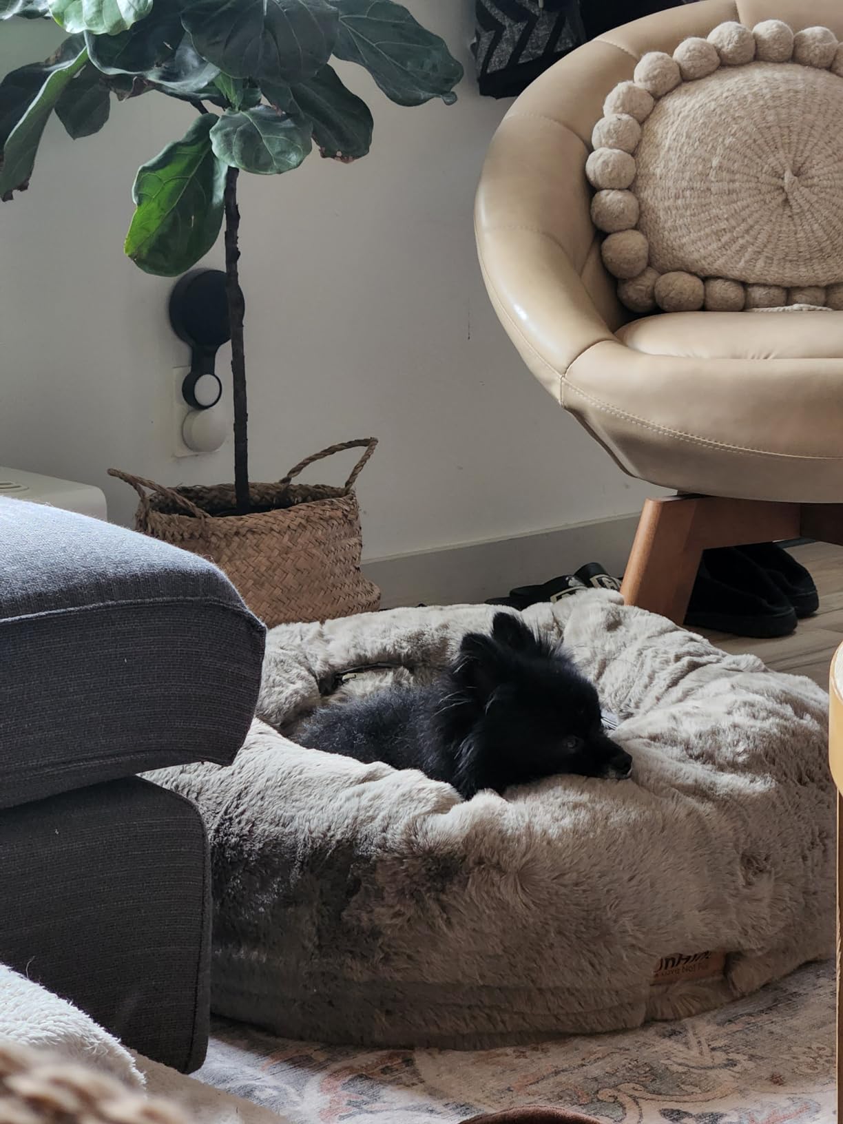 UnHide Floof Pet Bed - XL (40