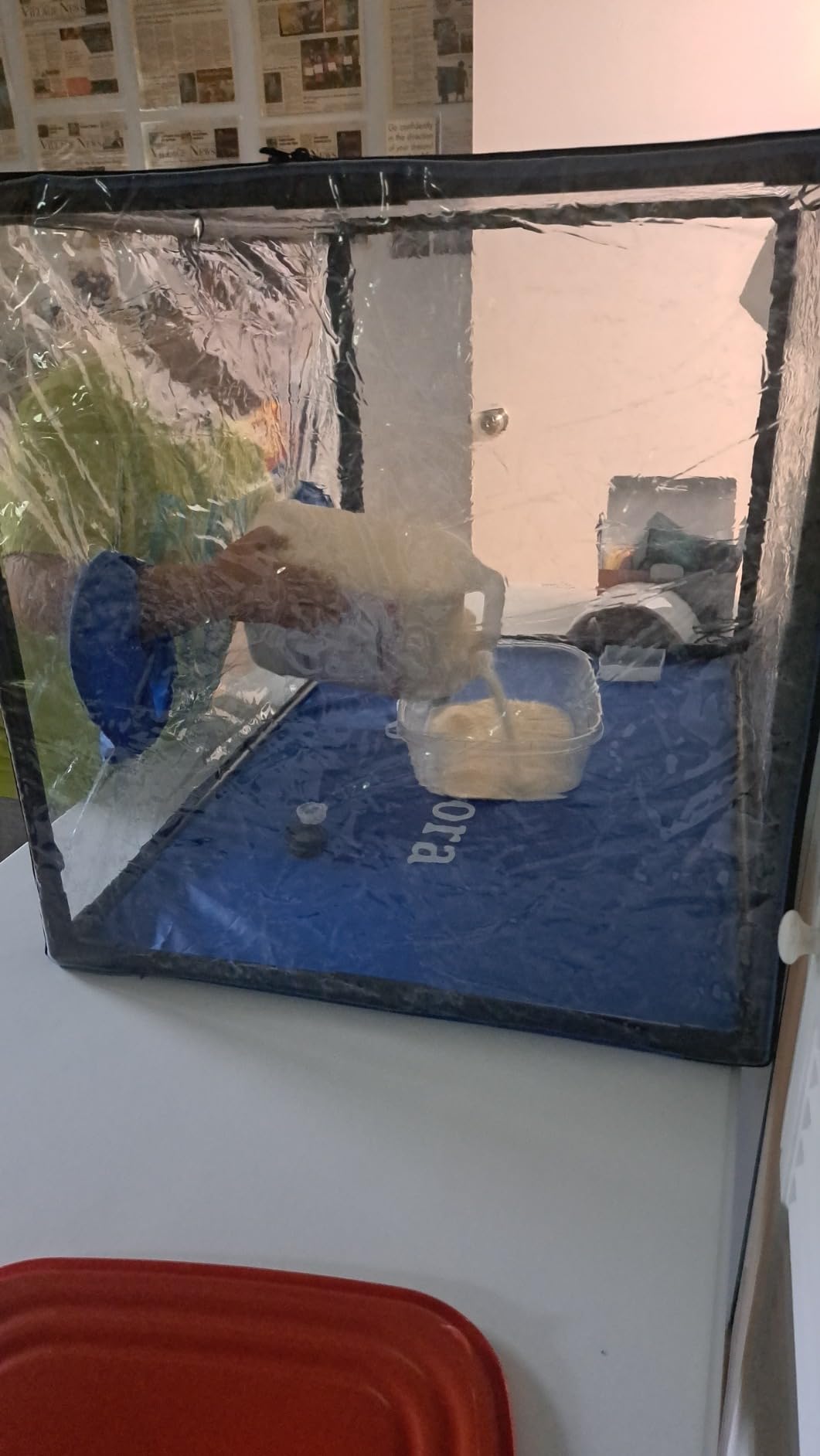 Still Air Box Mycology (Sturdy) Mushroom Grow Box Alt to Laminar Flow Hood Fume Hood for Lab Mycology Supplies by USA Mycologists customer photo 1