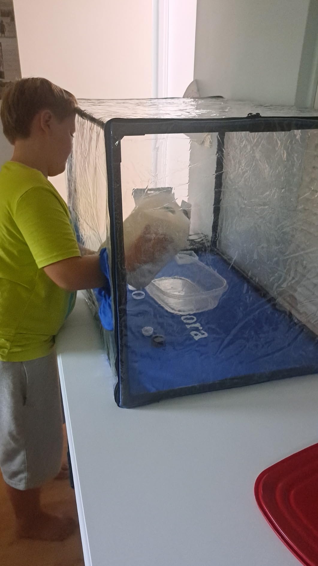 Still Air Box Mycology (Sturdy) Mushroom Grow Box Alt to Laminar Flow Hood Fume Hood for Lab Mycology Supplies by USA Mycologists customer photo 2