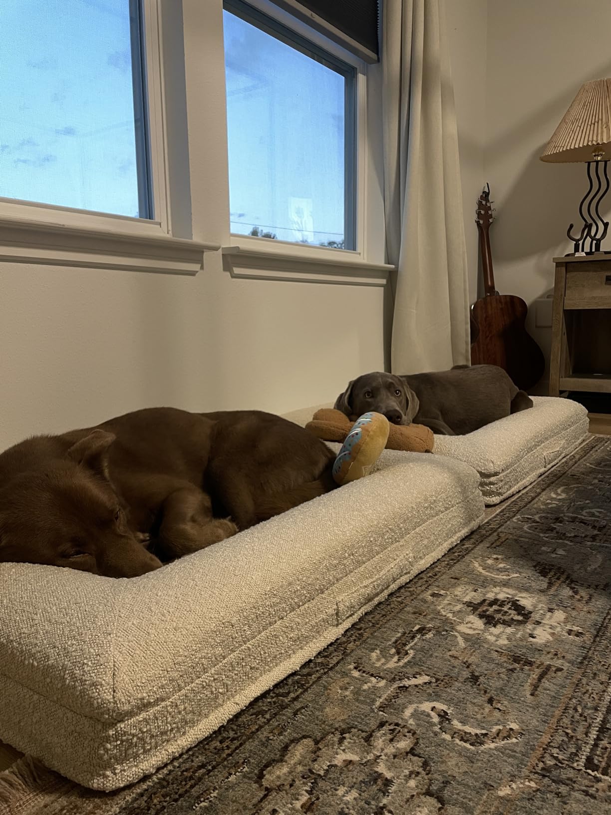 Luxury Boucle Orthopedic Memory Foam Dog Bed with Waterproof Liner and Machine Washable Cover with YKK Zippers (X-Large, 61