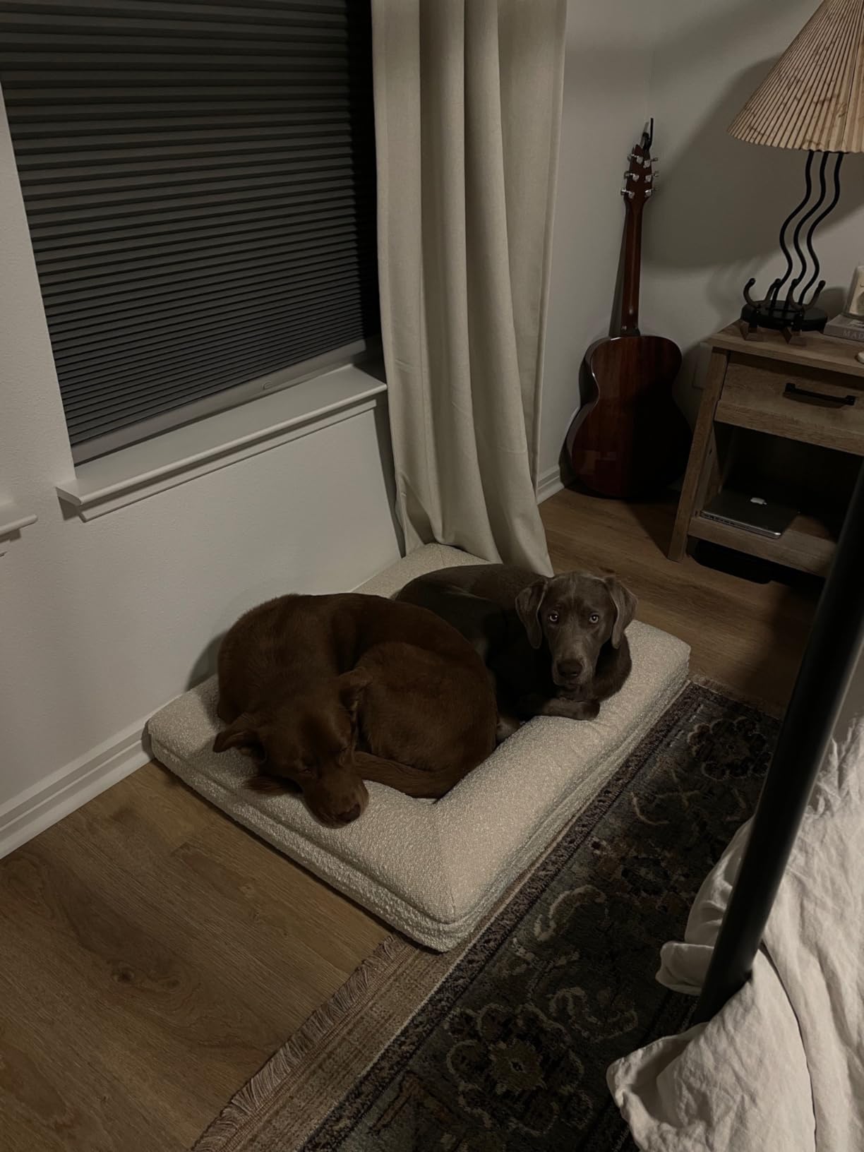 Luxury Boucle Orthopedic Memory Foam Dog Bed with Waterproof Liner and Machine Washable Cover with YKK Zippers (X-Large, 61