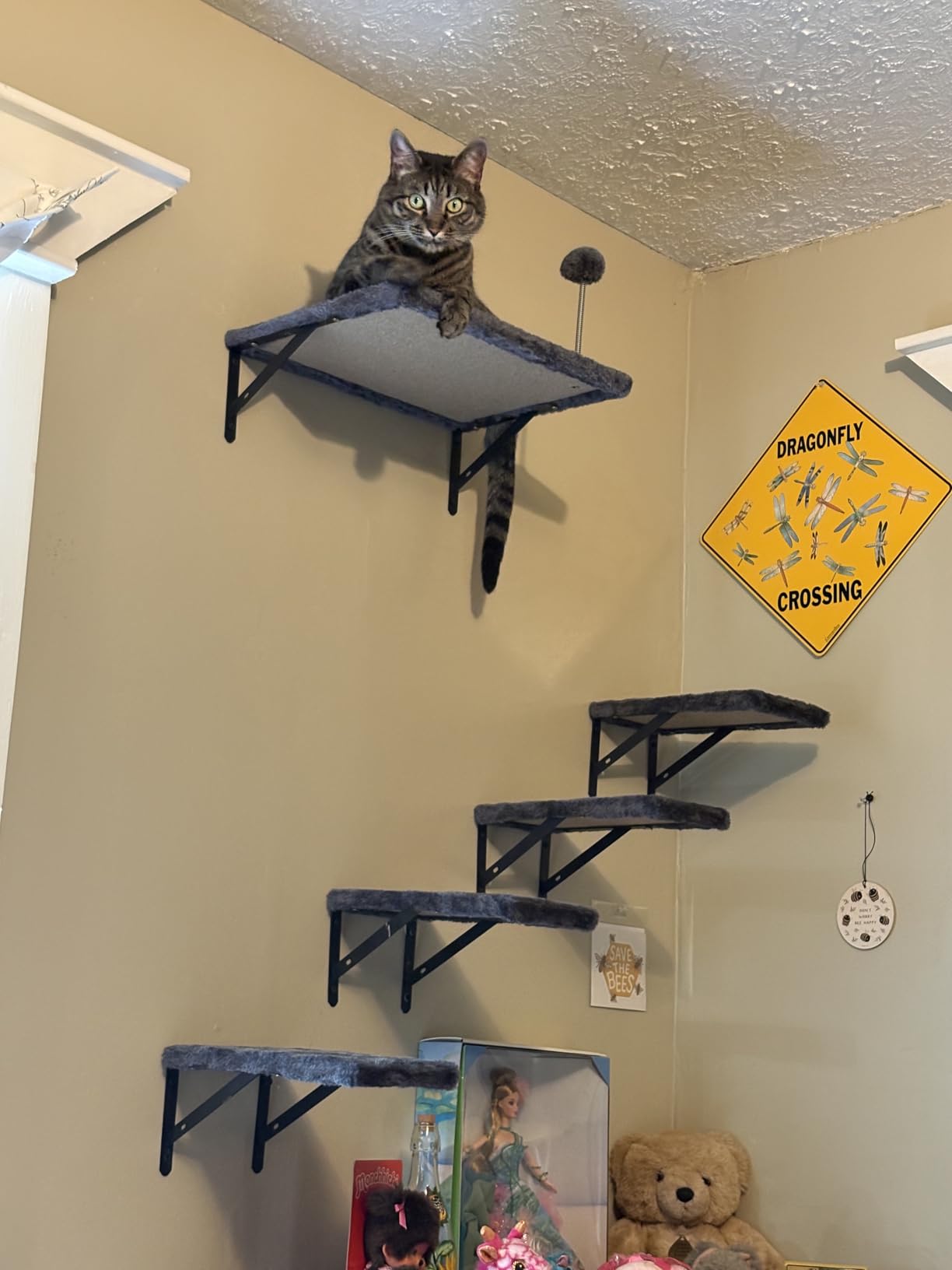 Wall-Mounted Cat Climber Set with Climbing Shelves, Perches, Bridge, Hammock, Scratching Board & Ball - 7 Pcs Wood Indoor Cat Furniture for Kittens Play (Beige) customer photo 1