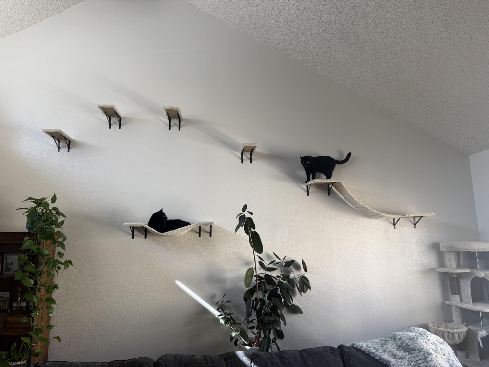 Wall-Mounted Cat Climber Set with Climbing Shelves, Perches, Bridge, Hammock, Scratching Board & Ball - 7 Pcs Wood Indoor Cat Furniture for Kittens Play (Beige) customer photo 2