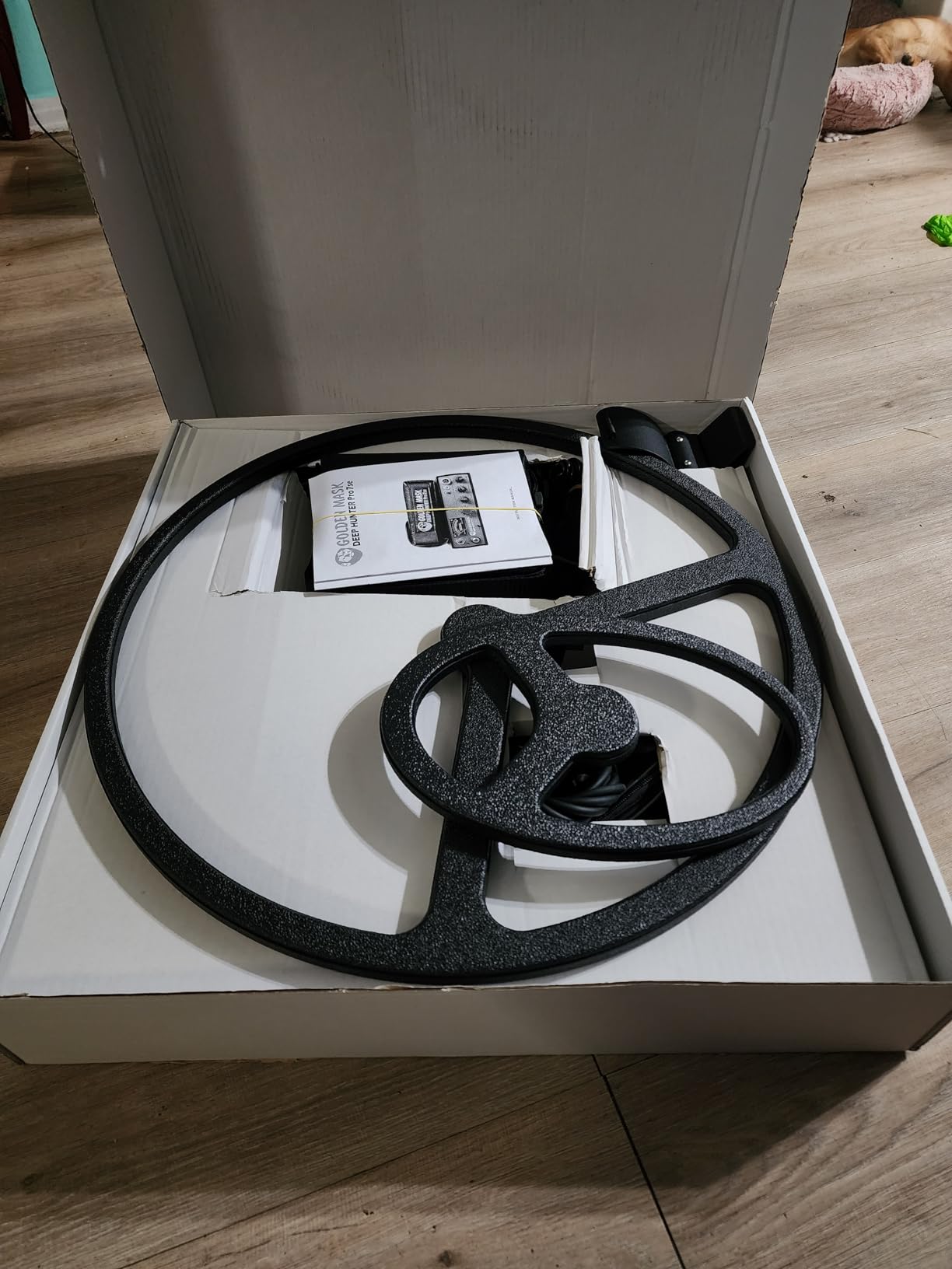 GoldenMask Deephunter Pro 7SE + Additional Coils and Accessories customer photo 1