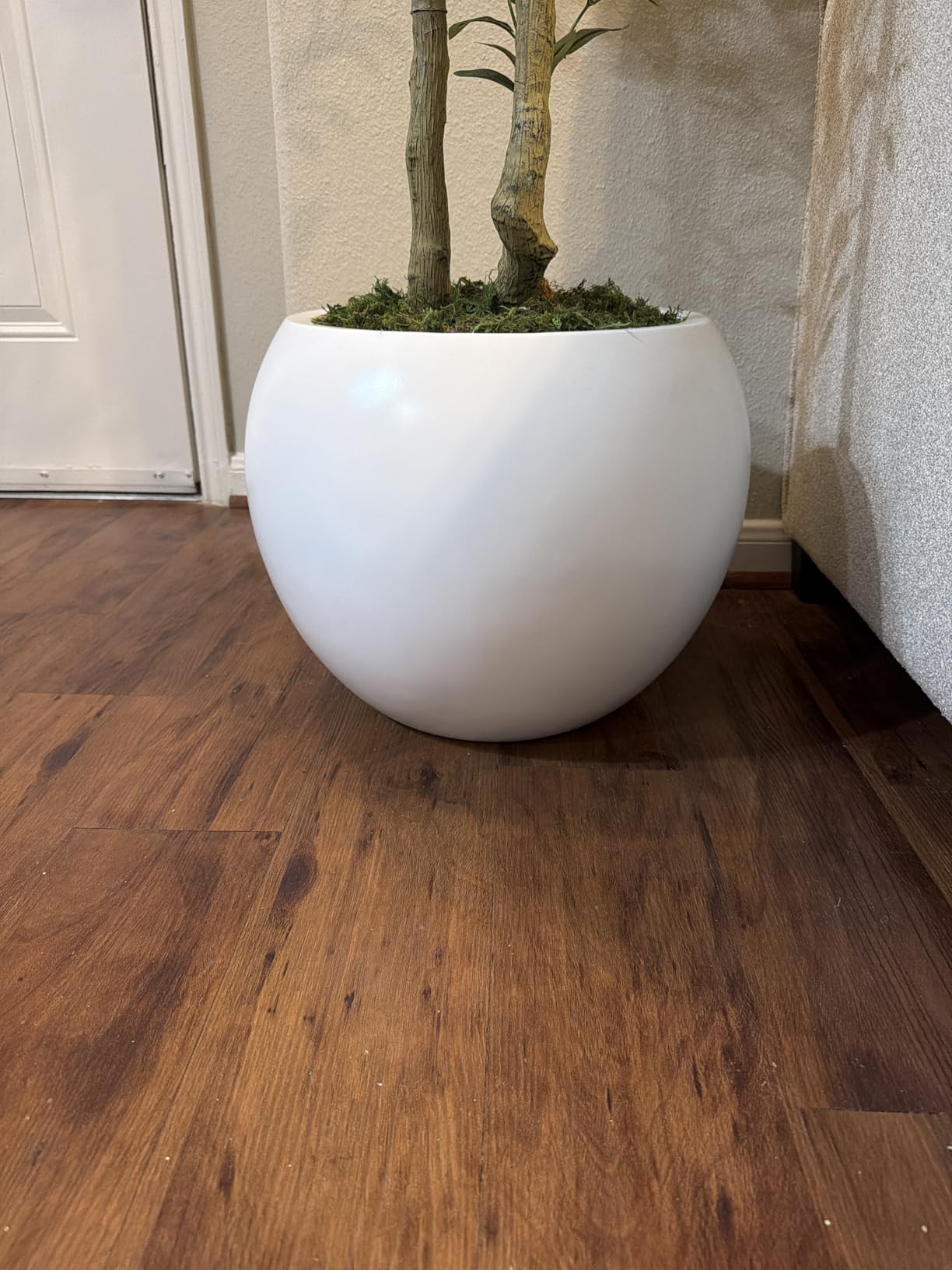 DTY Mount Sherman 21.1'' D x 16.7'' H (Pot Opening 14.6