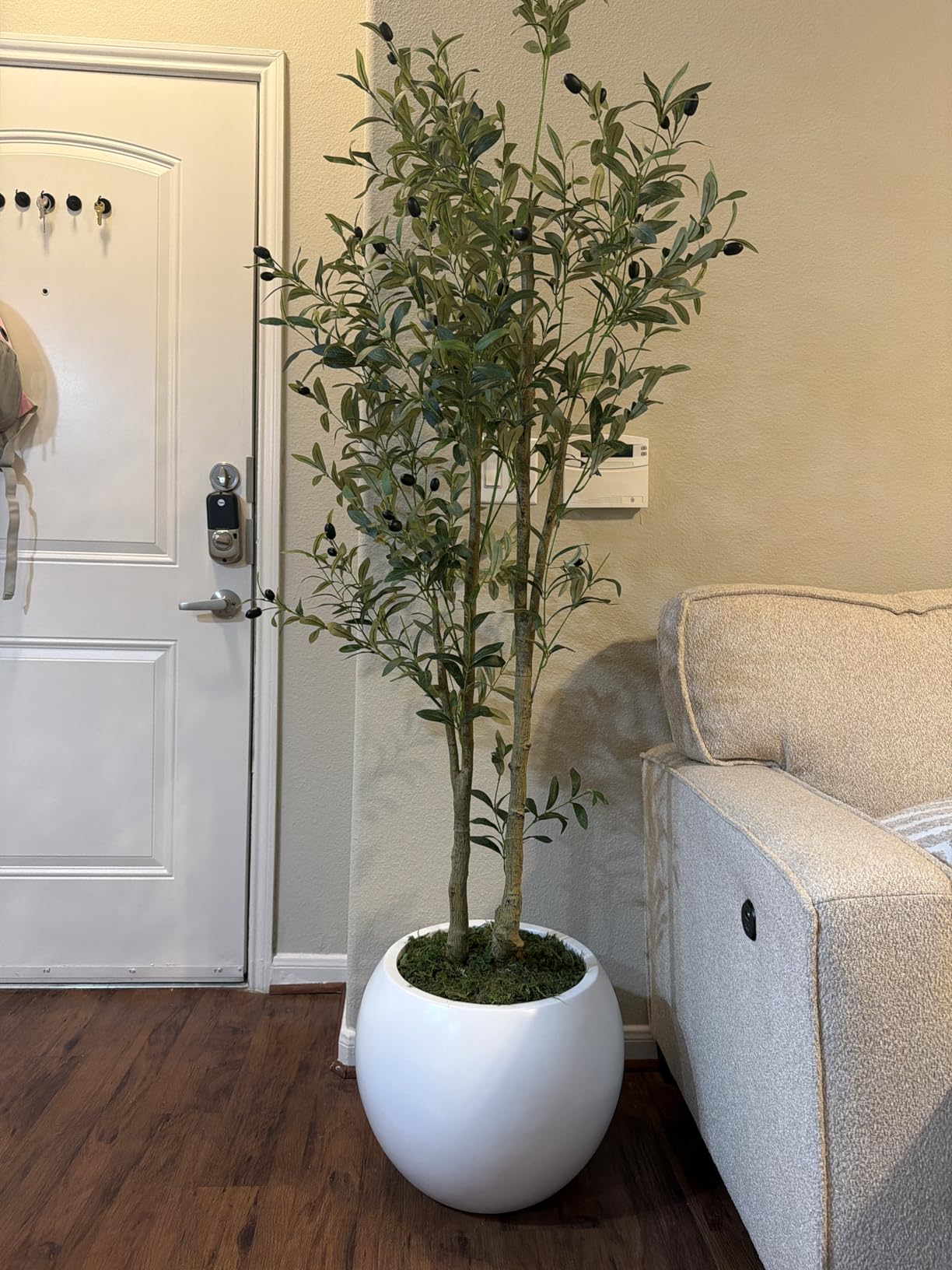 DTY Mount Sherman 21.1'' D x 16.7'' H (Pot Opening 14.6