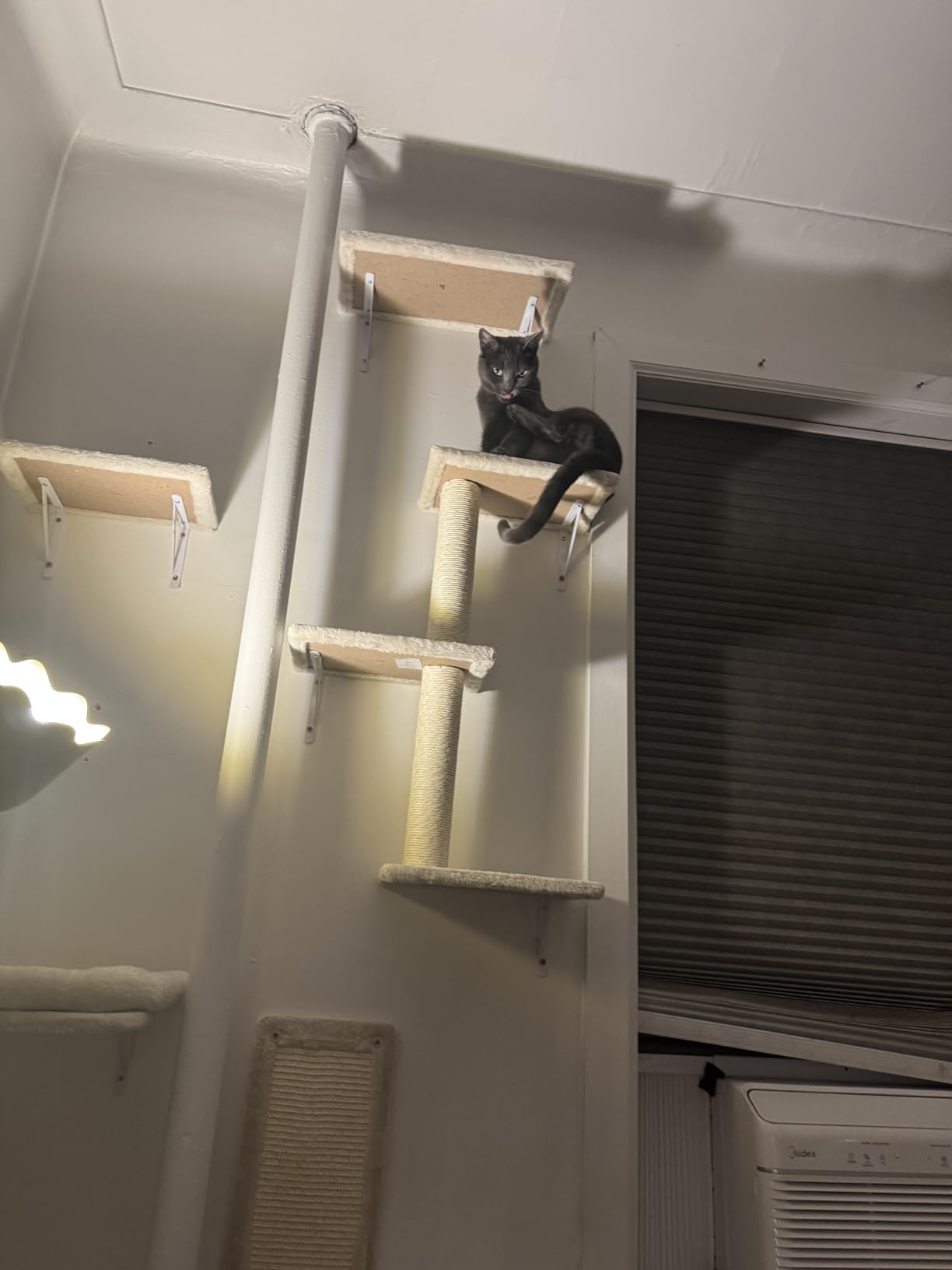 NUNU LAB Cat Wall Shelves, 6 Pcs Luxury Wall-Mounted Cat Climber Set, Indoor Cat Furniture with 1 Condos House, 2 Cat Wall Shelves, 1 Scratching, 1 Bridge Ladder, 1 Scratching Pad, Dark Gray customer photo 1