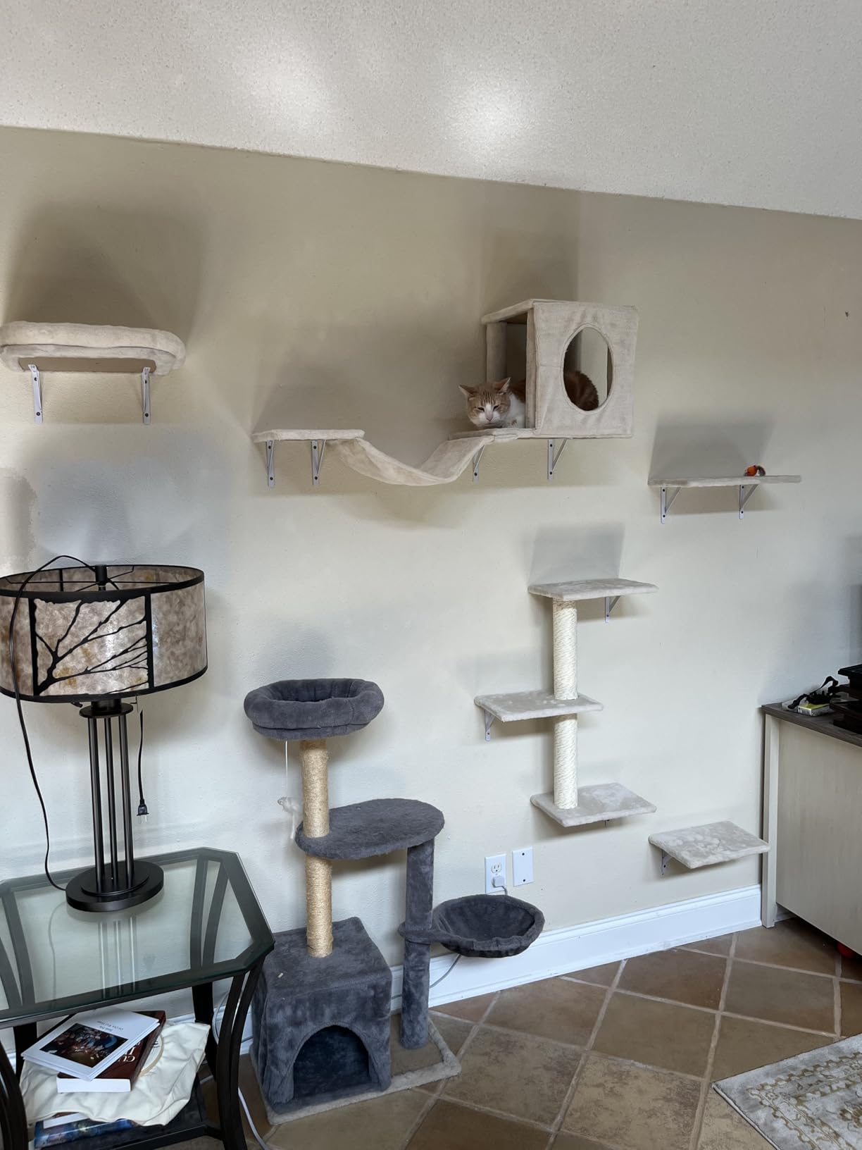 NUNU LAB Cat Wall Shelves, 6 Pcs Luxury Wall-Mounted Cat Climber Set, Indoor Cat Furniture with 1 Condos House, 2 Cat Wall Shelves, 1 Scratching, 1 Bridge Ladder, 1 Scratching Pad, Dark Gray customer photo 2