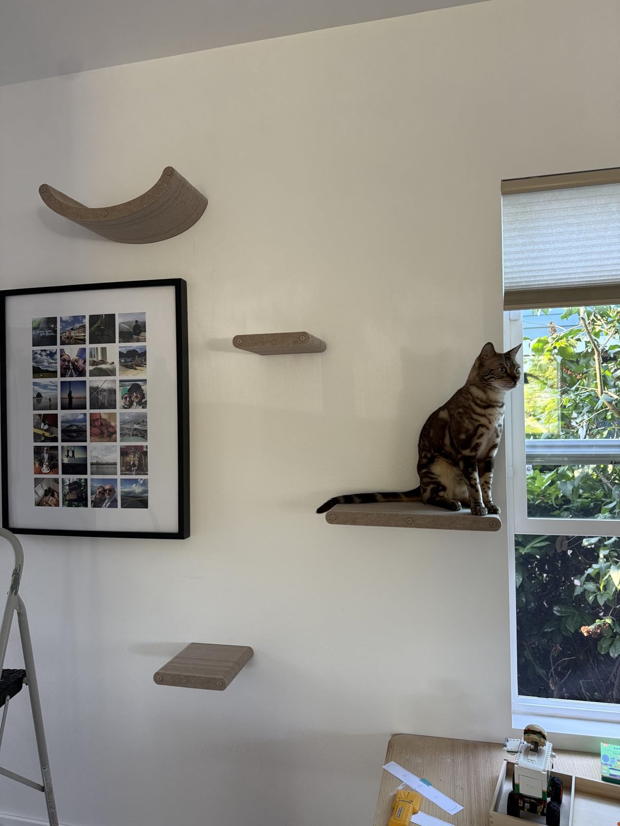 Wall Mounted Cat Shelves (Set of 4) by Pryde Pets - 100% Sustainable PET Felt Feline Enrichment Climber Furniture for Small & Large Indoor Cats, Modern Climbing Gym Jungle Design (Oatmeal) customer photo 2