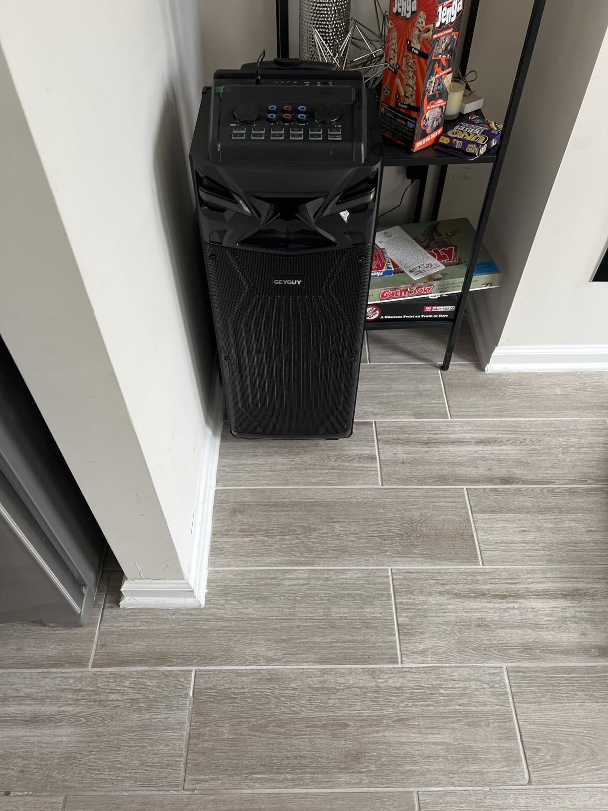 GTSK210‑1 DSP Karaoke Machine for Adults, Portable PA Bluetooth Speaker with Dual Wireless Mics, USB Audio Interface for Live Streaming, Real-Time Monitoring, LED Lights for Home, Party & Outdoors customer photo 1