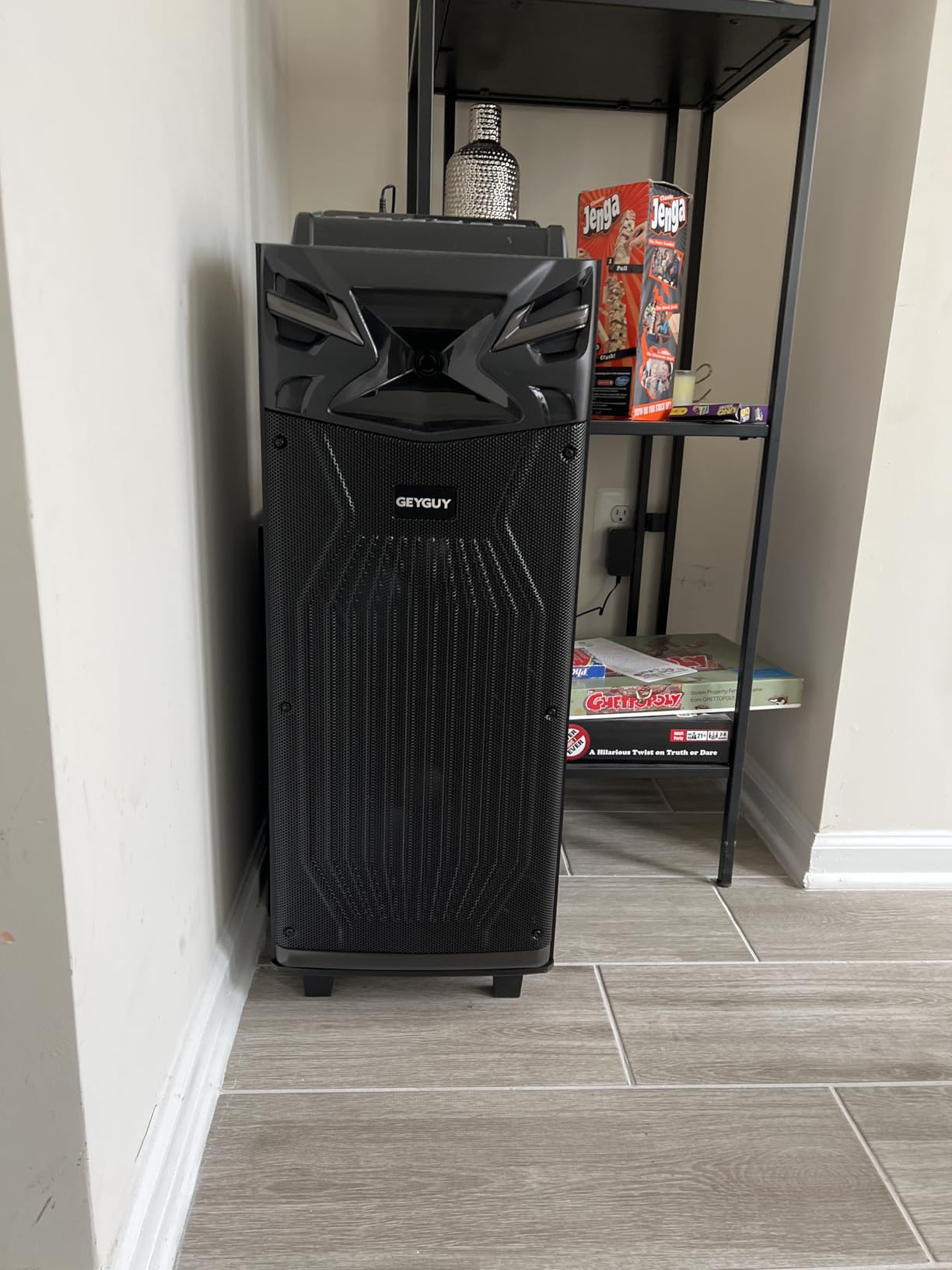 GTSK210‑1 DSP Karaoke Machine for Adults, Portable PA Bluetooth Speaker with Dual Wireless Mics, USB Audio Interface for Live Streaming, Real-Time Monitoring, LED Lights for Home, Party & Outdoors customer photo 2