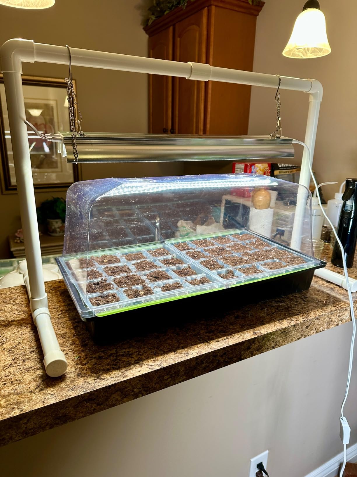 SOLIGT 1020 Size Seed Starter Kit with Grow Light and Heat Mat - 7