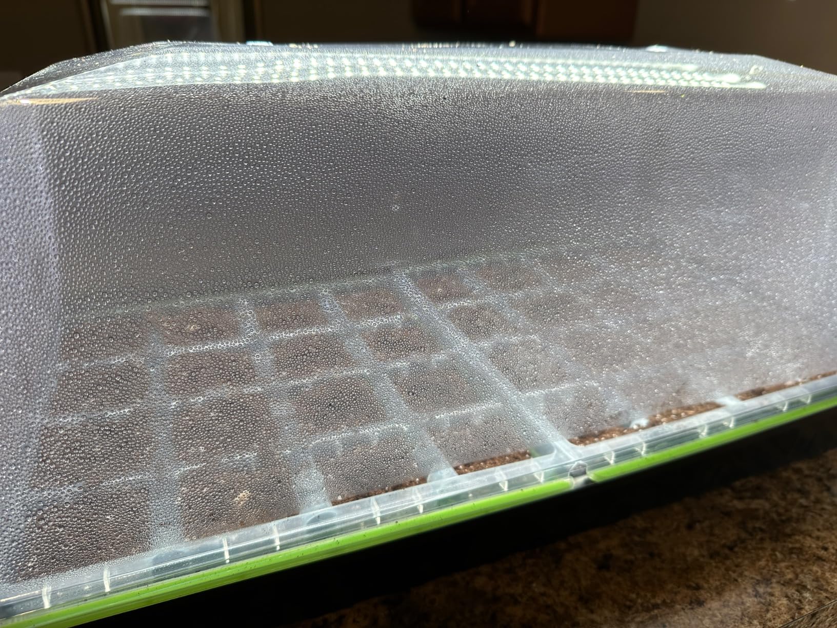 SOLIGT 1020 Size Seed Starter Kit with Grow Light and Heat Mat - 7