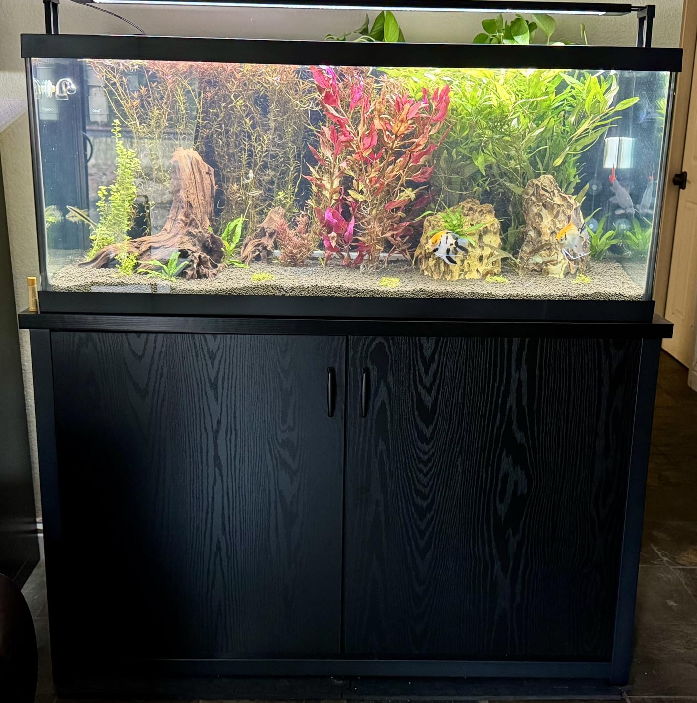 TC-HOMENY 55-75 Gallon Fish Tank Stand, Aquarium Stand with Charging Station and Large Storage Cabinet, 1200LBS Capacity, 5-75 Gallon Tank Stand, Fit for Living Room, 29