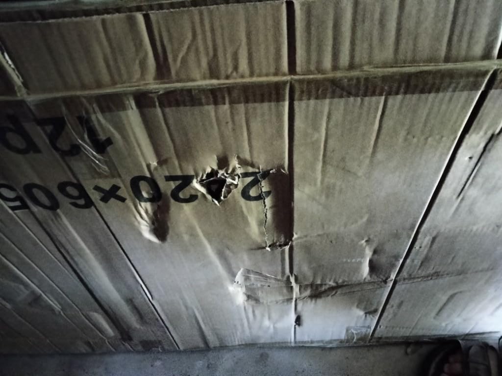 Tatuo 12 Pack 8' X 2' X 0.16'' Polycarbonate Greenhouse Panels Polycarbonate Sheets Twin-Wall Roof Panels Waterproof UV Protected Clear Corrugated Plastic Roofing for Greenhouse Replacement customer photo 1