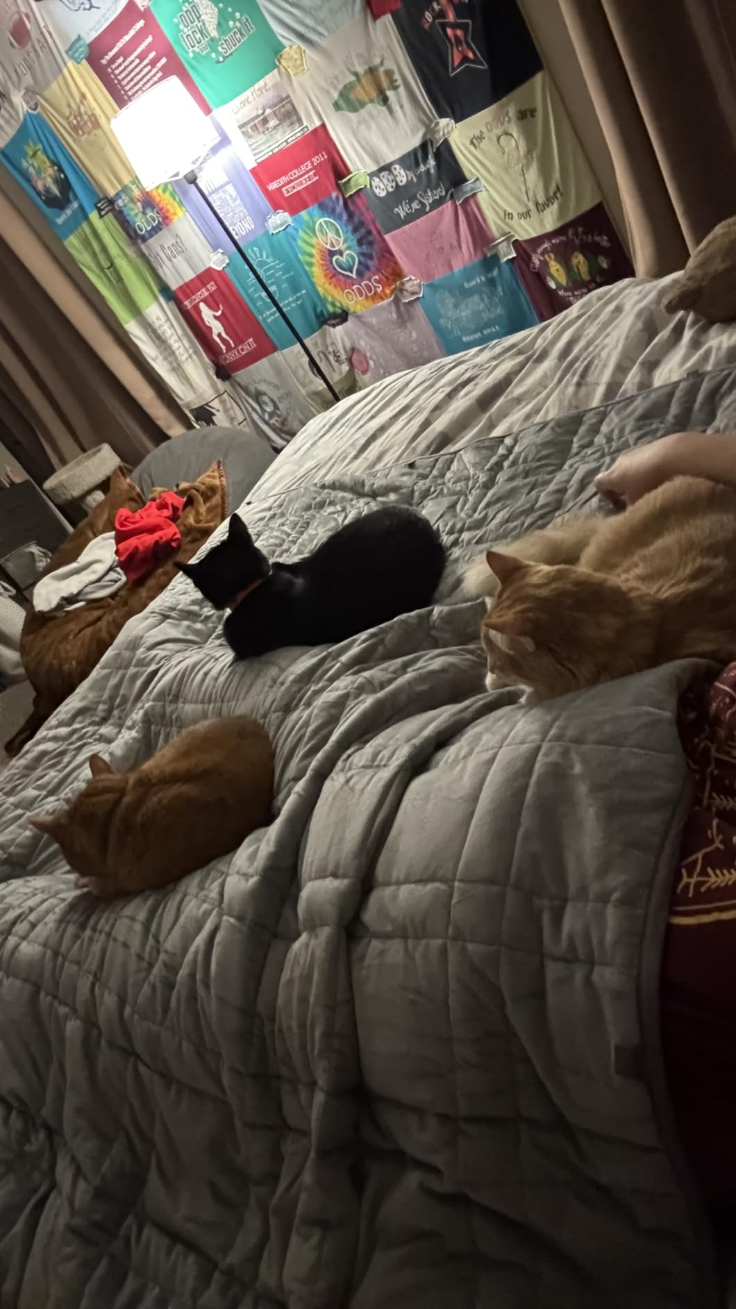 King Size Weighted Blanket 20lbs(88''x104'', Dual-Sided), Reversible King Weighted Blanket with Cozy Warm Velvet & Cooling Tencel Fabric for Adults & Couple All Season - Carry Bag Included, Navy Blue customer photo 1