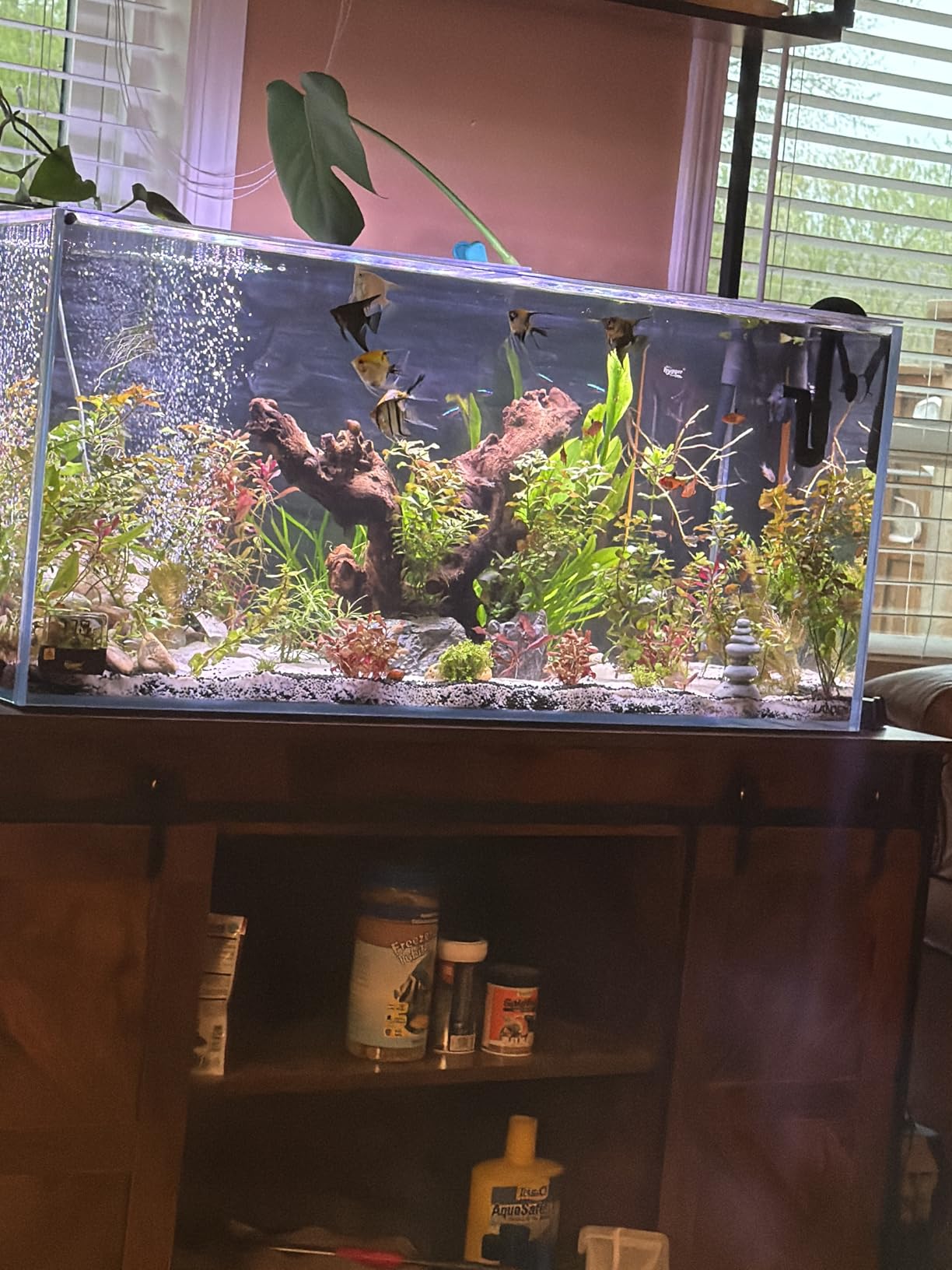 LANDEN 75H 37 Gallon Rimless Low Iron Aquarium Tank, W29.5×D17.7×H17.7 in(75x45x45cm) 8mm Thickness with Black Nano Foam Leveling mat Included customer photo 1
