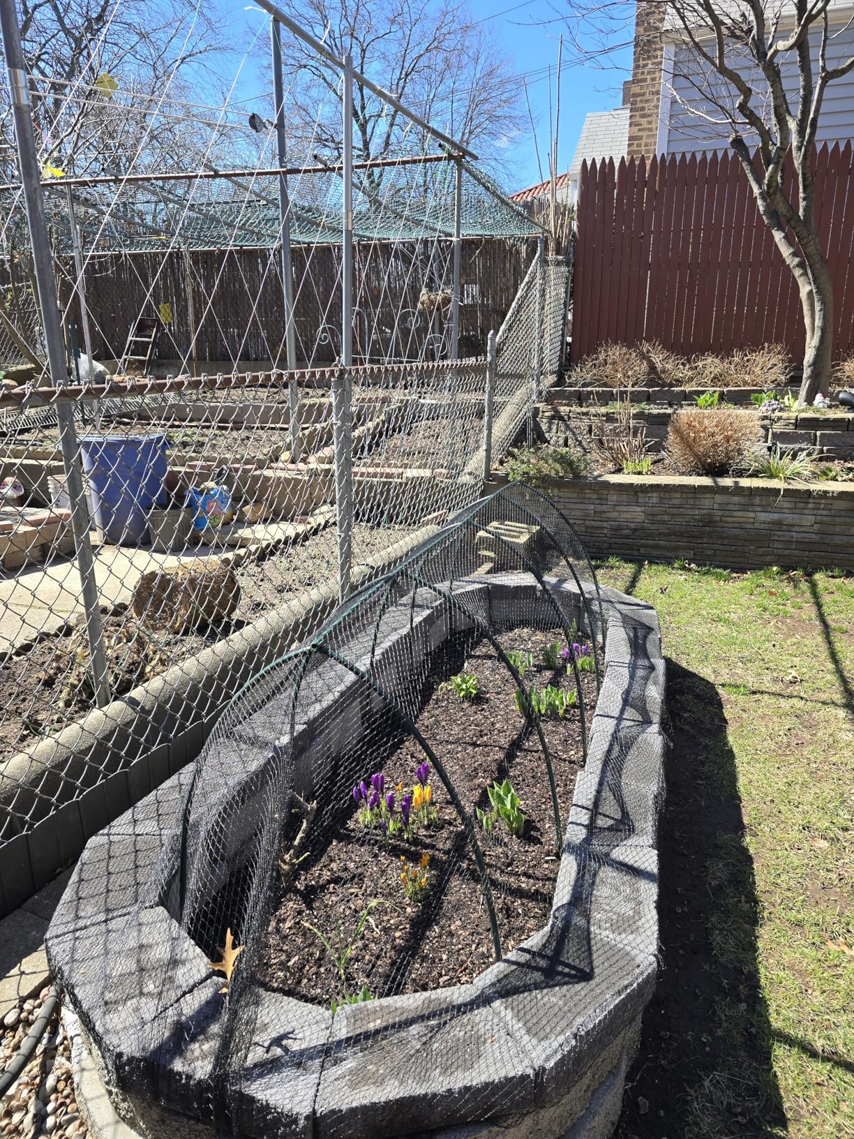 AlpineReach Garden Netting 7.5 x 100 ft Heavy Duty Bird Net, Deer, Plant Protection Extra Strong Woven Mesh, Reusable Kit with Zip Ties, Animal Fencing for Fruits Trees, Black customer photo 1