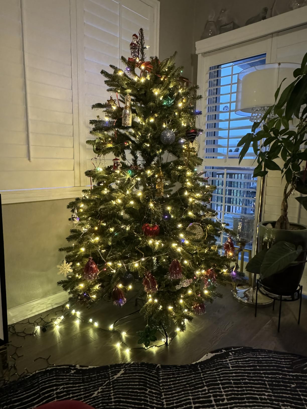 BH Fraser Fir - Full Christmas Tree with Most Realistic True Needle Foliage, Easy Plug Technology & Multiple Height and Lighting Options, LED Clear, 7.5ft customer photo 2