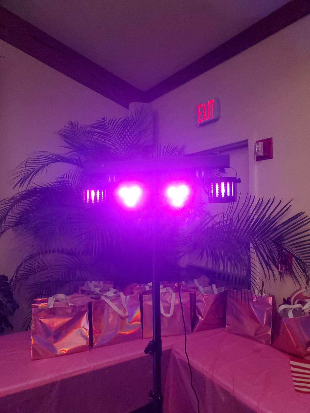 DJ Lighting Packages with Carry Bag, DJ Lights with Stand (7.5Ft) Sound Activated, DMX & Remote Control customer photo 1