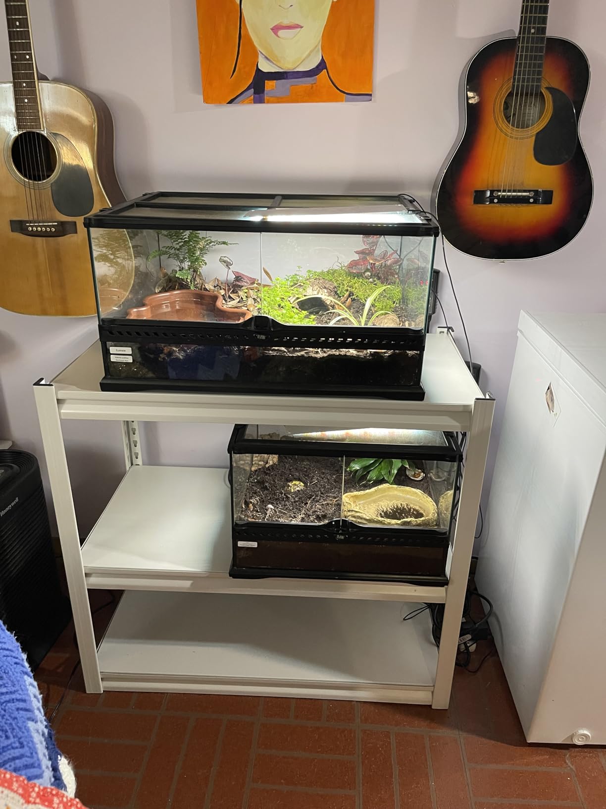 Fish Tank Stand, 3-tier Rack Shelf Heavy Duty Metal Frame Aquarium Stand 20 Gallon, Reptile Terrarium Stand for 30 Gallon Long Aquarium, Breeder Tank Stand customer photo 1