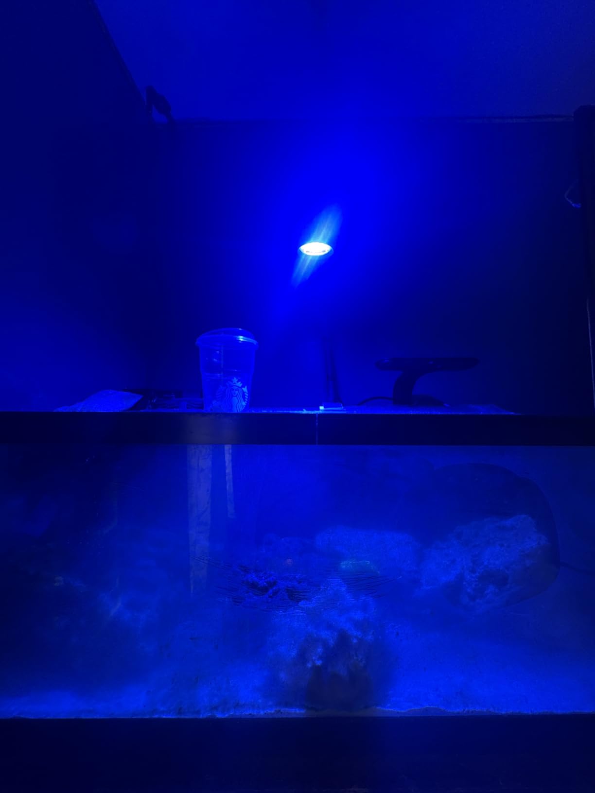 AI Prime 16 HD LED App Controllable Saltwater Aquarium Reef Light - Black customer photo 1