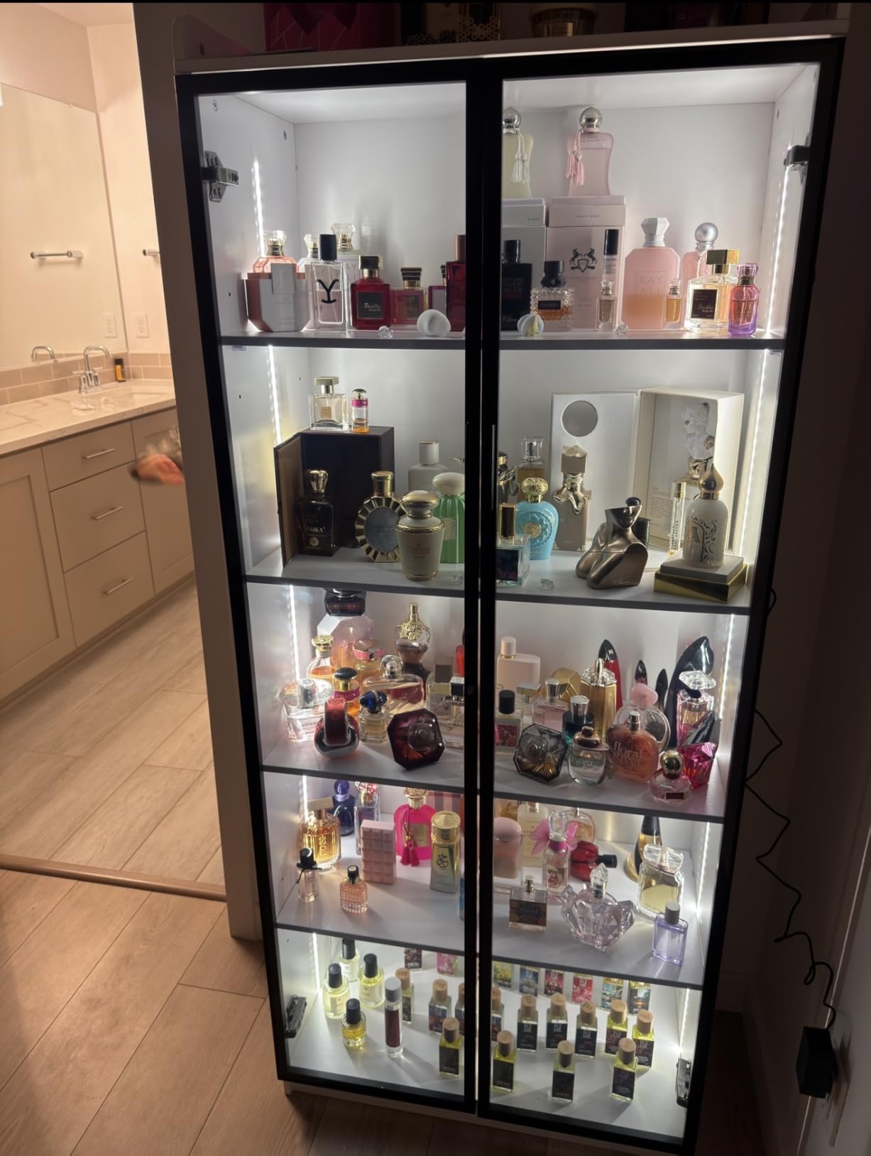 Display Cabinet with Doors and Adjustable Shelves, 65