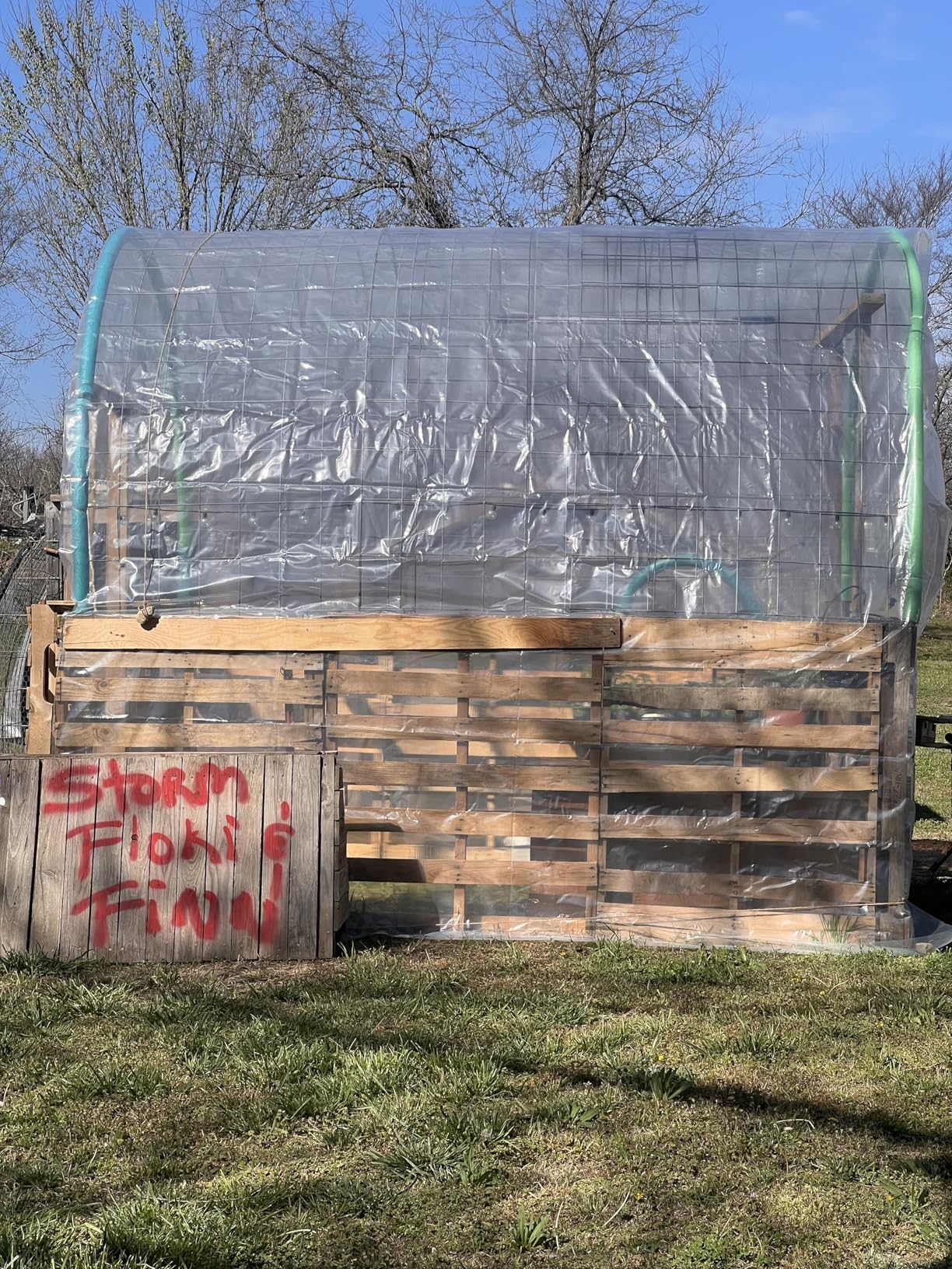 Greenhouse Plastic Sheeting, 24 x 25ft 6 mil Clear Greenhouse Film, UV Resistant Thickened Plastic Sheeting Heavy Duty, Polyethylene Green House Plastic Cover customer photo 1