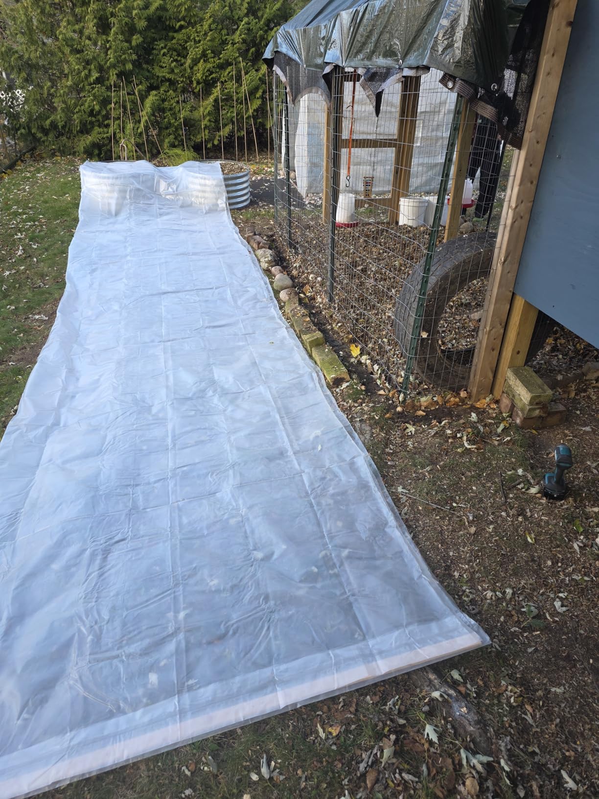 Greenhouse Plastic Sheeting, 24 x 25ft 6 mil Clear Greenhouse Film, UV Resistant Thickened Plastic Sheeting Heavy Duty, Polyethylene Green House Plastic Cover customer photo 2