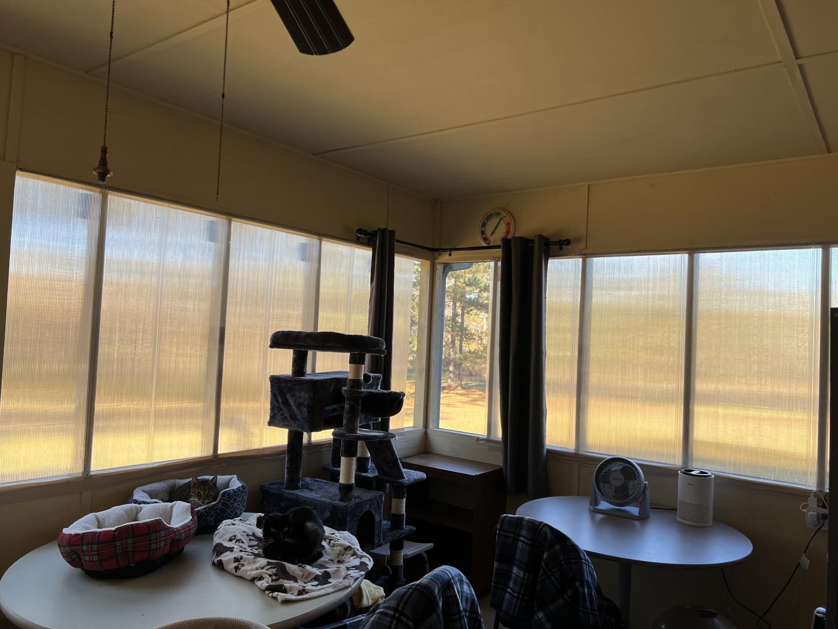 8 Pack Polycarbonate Greenhouse Panels, 8' x 4' x 0.24'' Twin-Wall Polycarbonate Sheets, All Weather Clear Roof Panels Greenhouse Replacement Panels customer photo 1