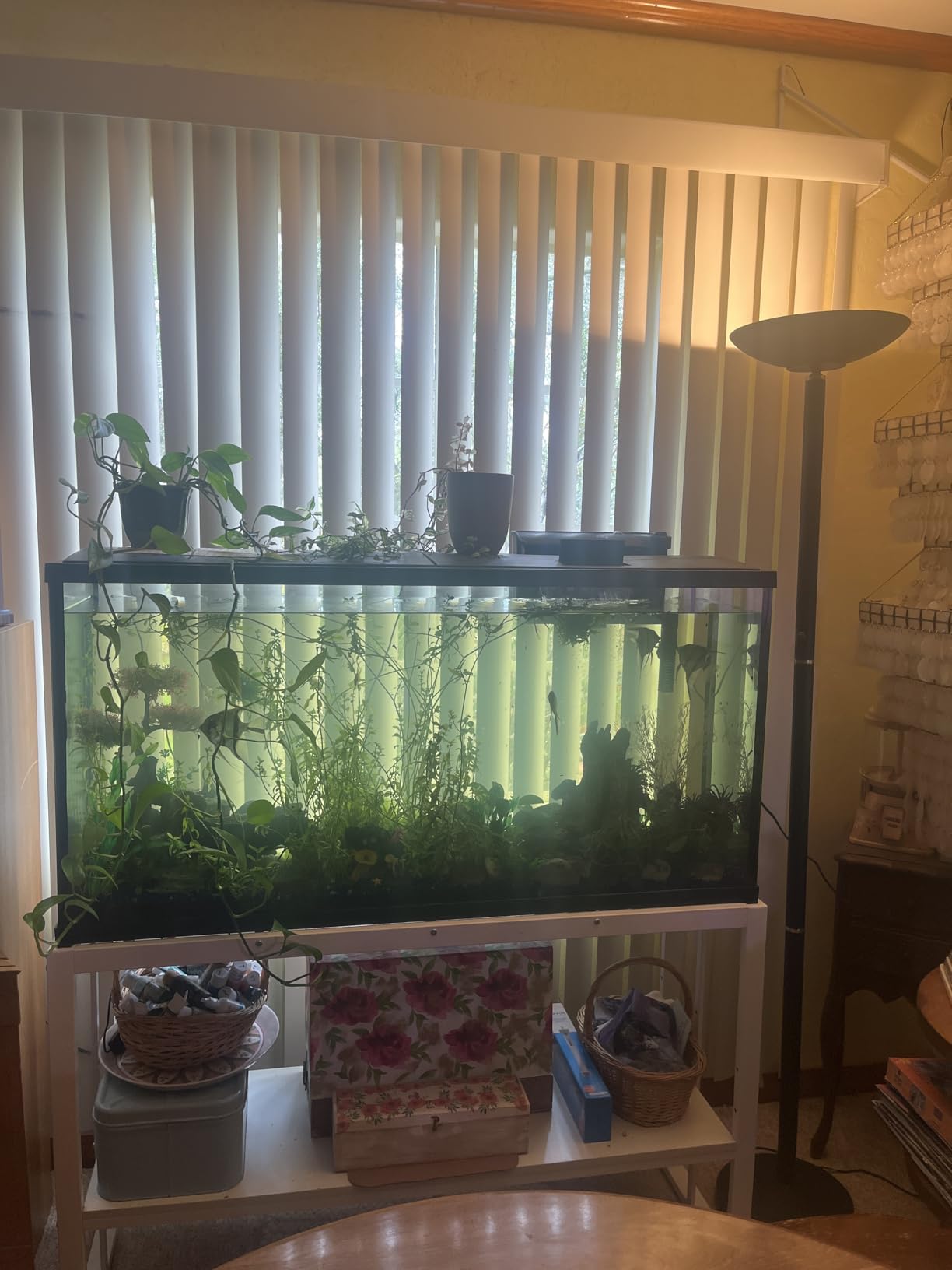 VOWNER 55-75 Gallon Fish Tank Stand - Metal Aquarium Stand, 48.4