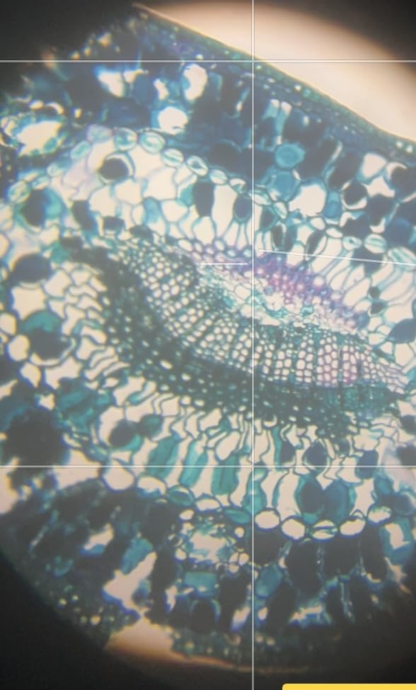 Trinocular Microscope 40X-5000X Magnification Laboratory Grade with Dual Mechanical Stage and HD USB Camera Microscopes for Adults customer photo 1