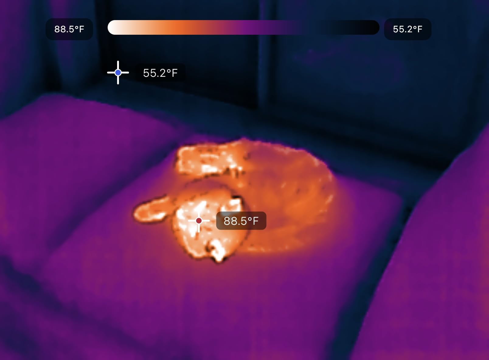 Seek Thermal Nano 300 Thermal Camera for Apple iOS with USB-C Connector, iPhone Thermal Camera, High Resolution 320 X 240 Thermal Imager, 25Hz Imaging Frame Rate, -4°F~626°F, iPhone 15 & 16 customer photo 1