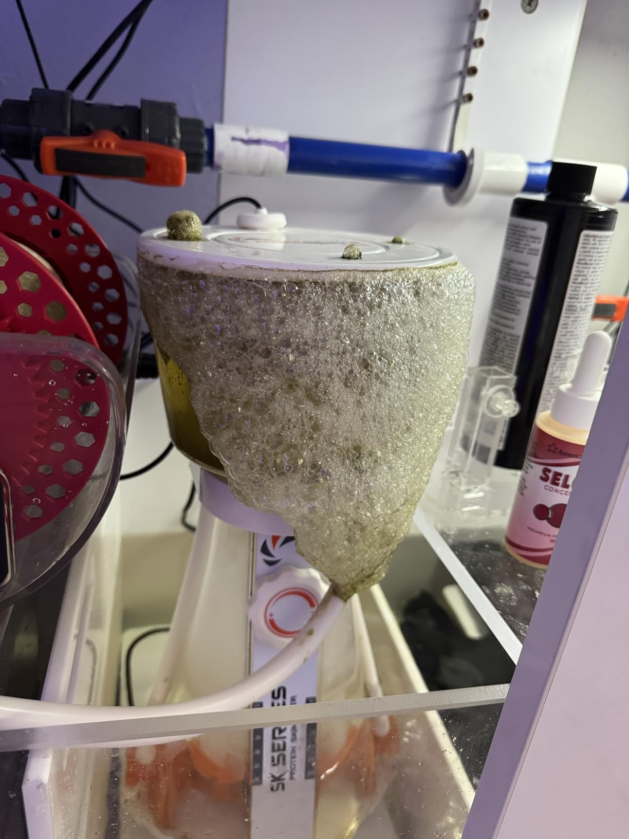 Maxspect Jump SK200 Protein Skimmer for Saltwater Aquarium Filtration - Up to 170 Gallons customer photo 1