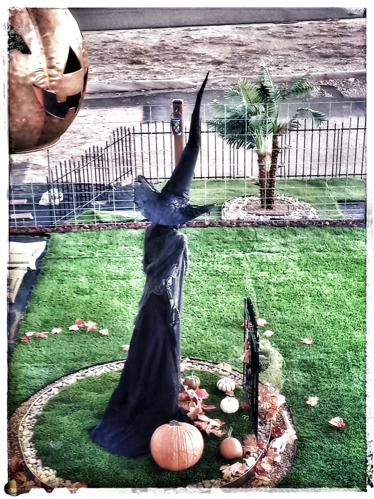 Metal Garden Fence with Gate 36 in H x 12 ft L, 1 Gate + 5 Panels Border Dog Fence Panels Animal Barrier, No Dig Garden Fencing for Yard Patio Flower Bed Lawn Outdoor, Arch Black customer photo 2