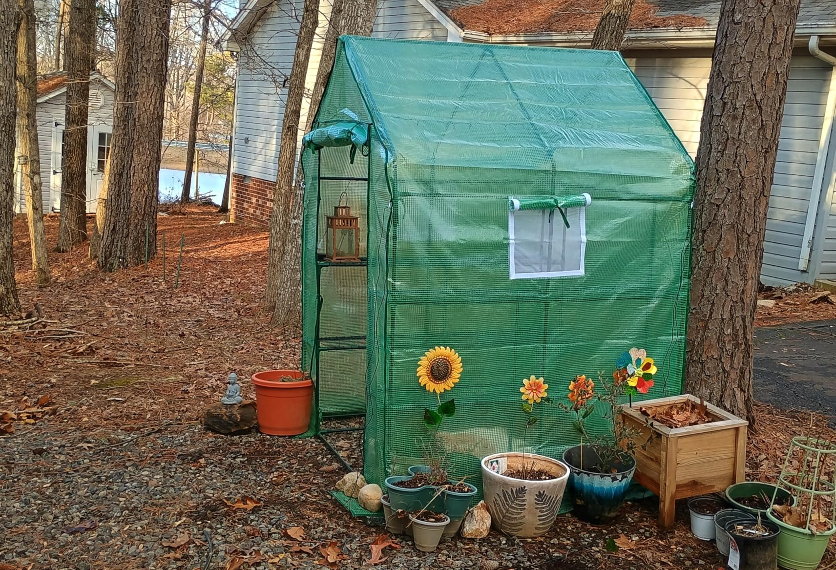 SPECILITE 56×56×78Inch Walk-in Greenhouse, Heavy Duty Small Plant House with Thicken PE Cover and Steel Frame, for Garden, Outdoors, Indoors, Green customer photo 1