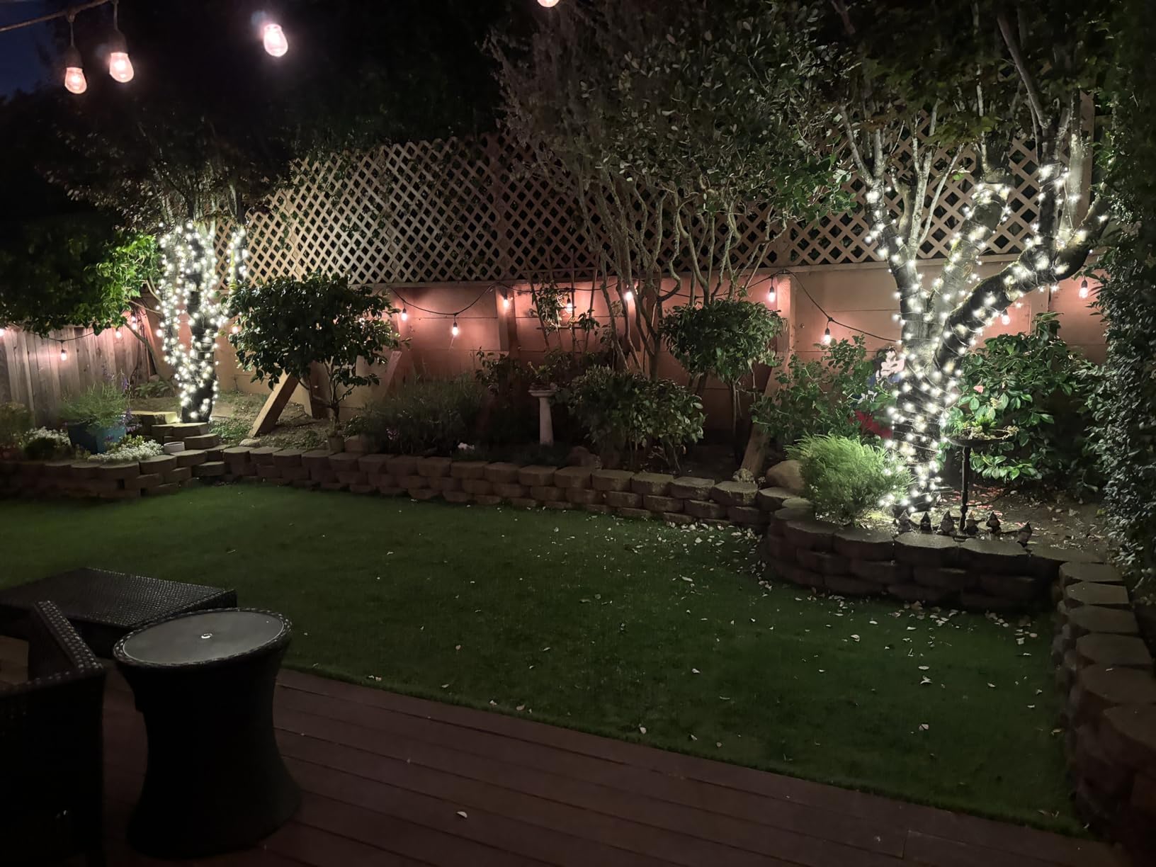 Novelty Lights 12-Pack CASE 50ft 100 LED Warm White Christmas String Lights, 6