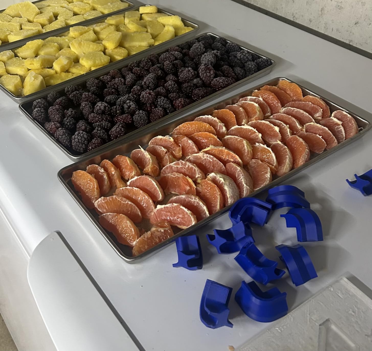 Silicone Mats For Harvest Right Freeze Dryer Medium Size Trays (M -Medium- 5 Pcs) customer photo 1