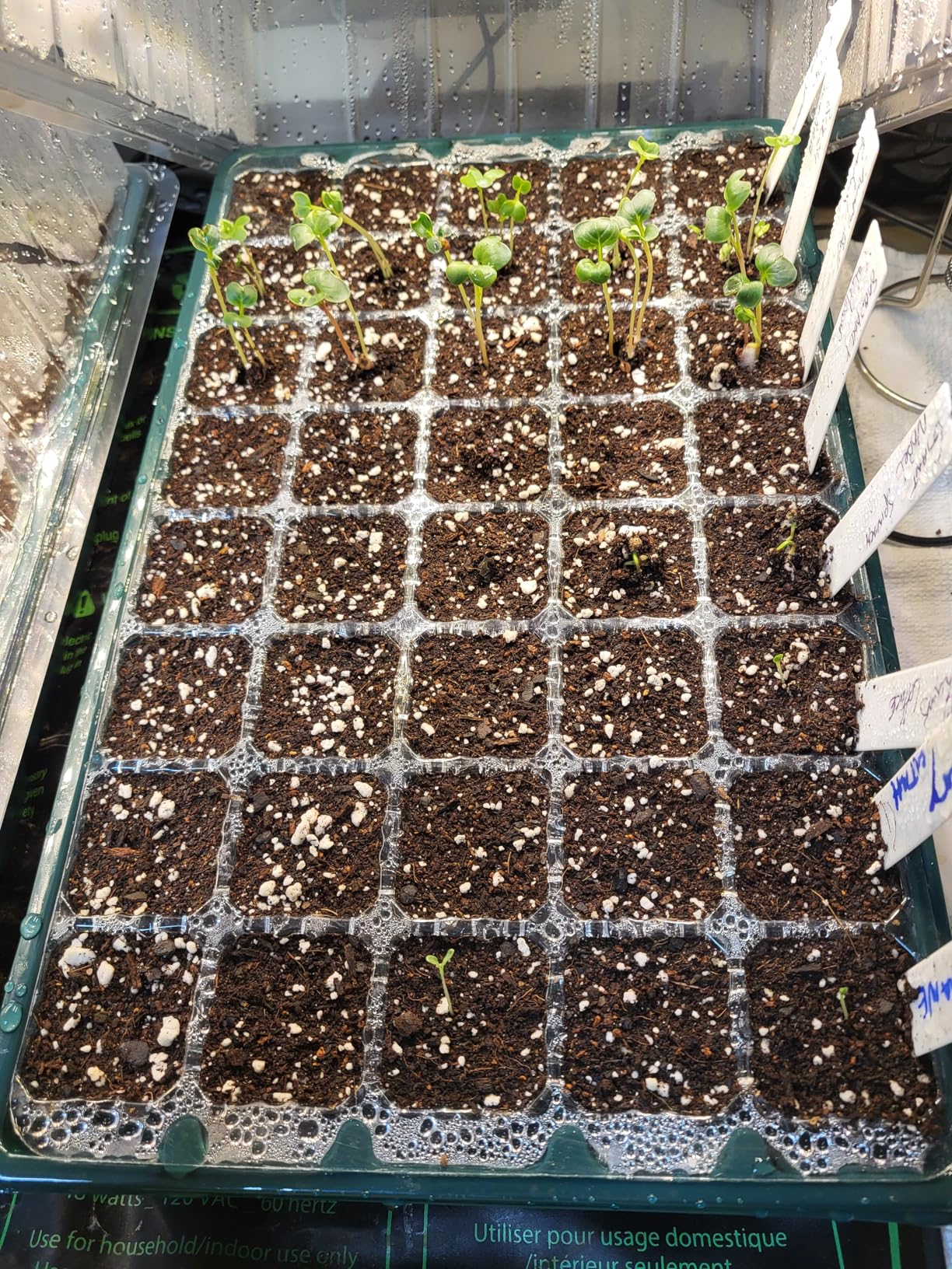 Seed Starter Tray with Grow Lights and Heat Mat, 3-in-1 Soil Meter, 80-Cell Seed Growing Tray, Germination & Plant Propagation Station for Indoor Plants 2-Pack customer photo 1