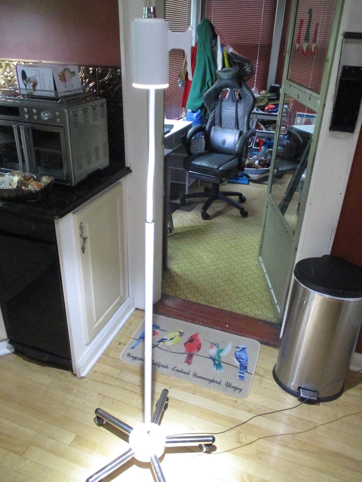 Exam Light 12W LED Medical Exam Lamp Mobile Surgical Examination Lamp Stainless Steel 5-Legged Base customer photo 2