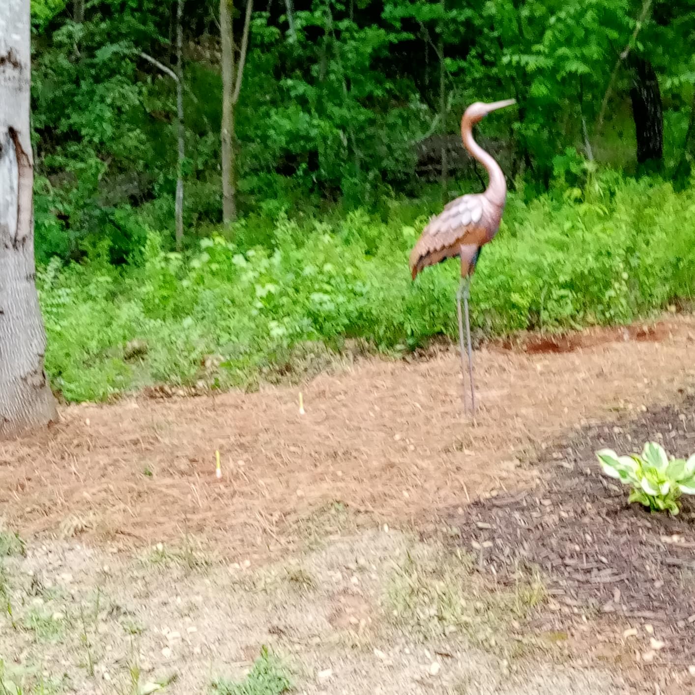 chisheen 2PCS Garden Crane Statues Outdoor Sculptures Metal Yard Art Statue for Garden Decoration Large Size Set of 2 customer photo 1