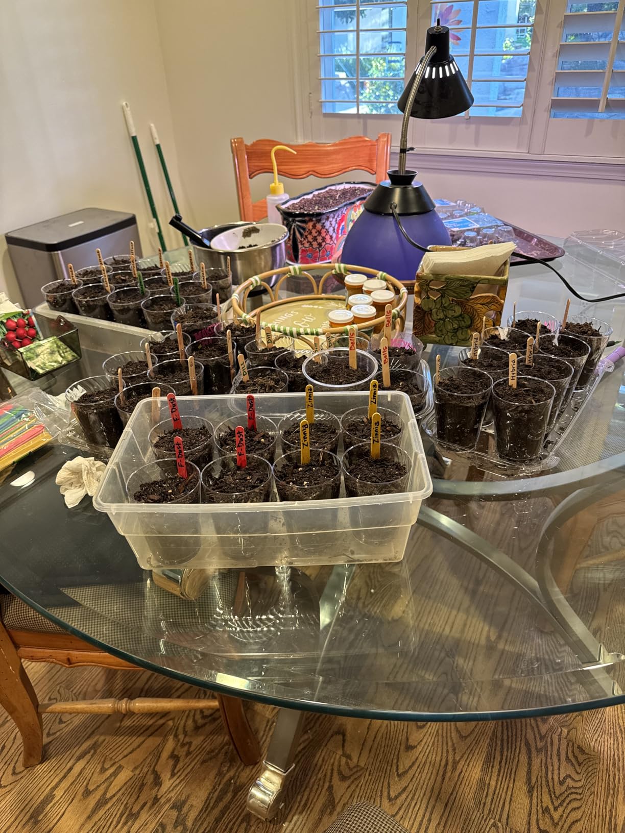 Barrina CX91 5-Tier Plant Stand with Grow Lights for Indoor Plants, Metal Plant Shelf Display Rack with 1.6FT 25W(Per Light) Full Spectrum Plant Lights for Indoor, Balcony, Living Room, 23.6x13.8x59IN customer photo 2