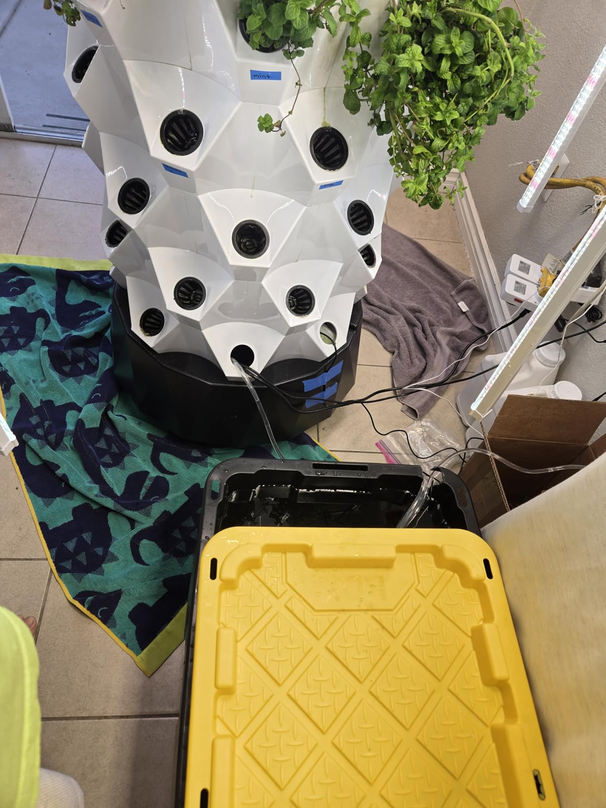 Auto Top Off System Aquarium - Smart Automatic ATO System for Fish Tank - Water Level Controller Kit for Saltwater Aquarium (with Submersible Pump) customer photo 1