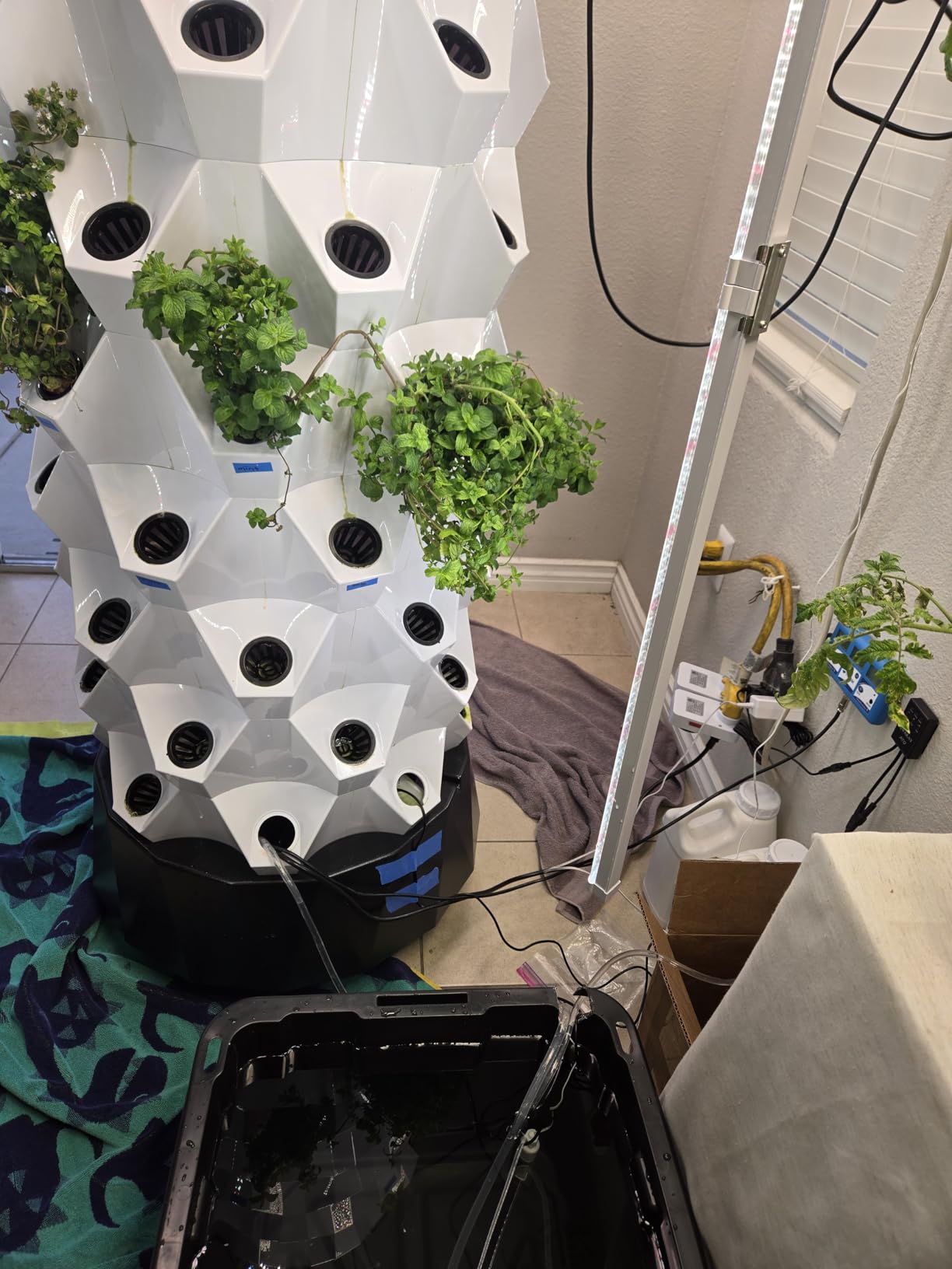 Auto Top Off System Aquarium - Smart Automatic ATO System for Fish Tank - Water Level Controller Kit for Saltwater Aquarium (with Submersible Pump) customer photo 2